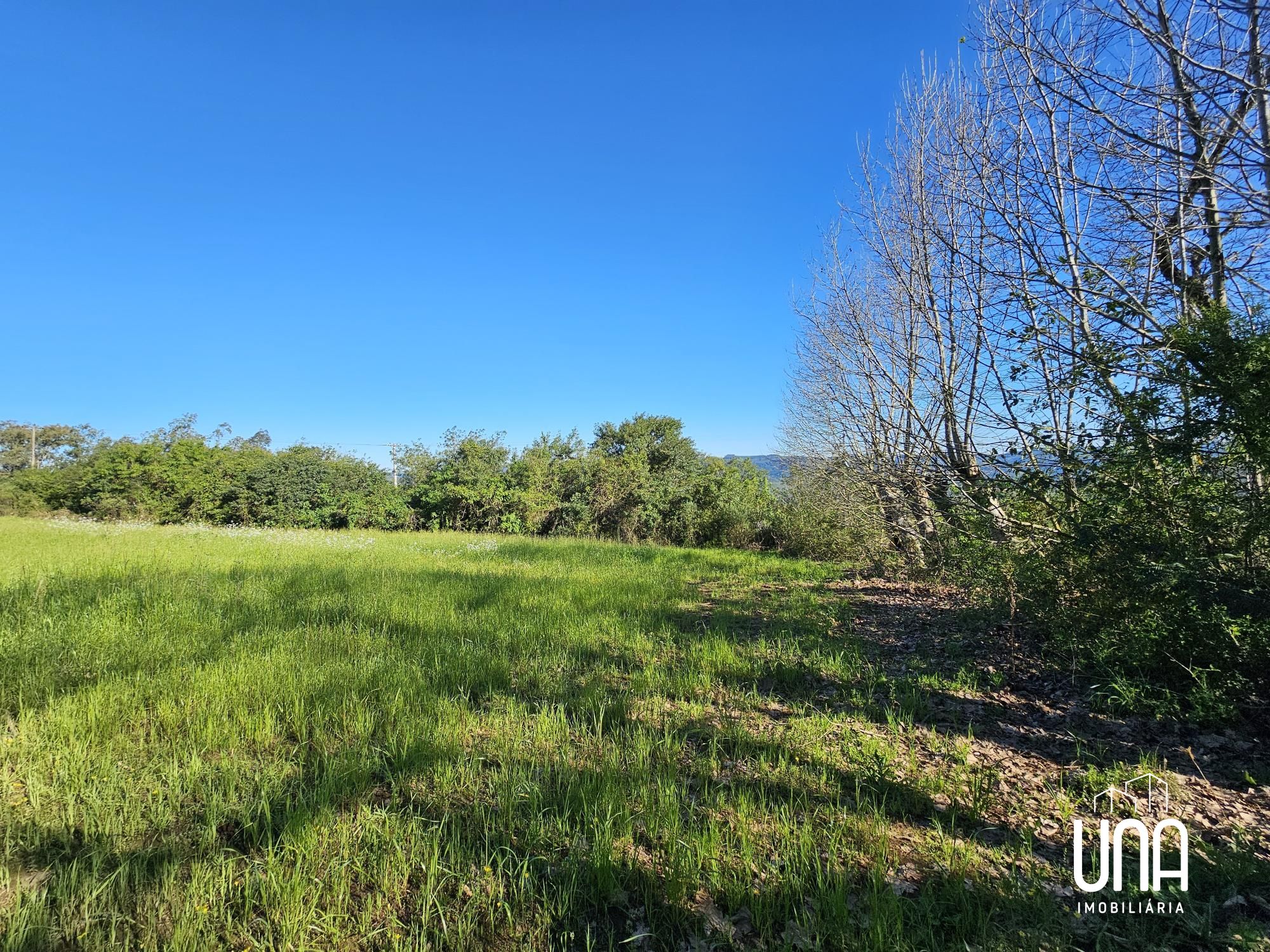 Sítio, 5 hectares - Foto 14