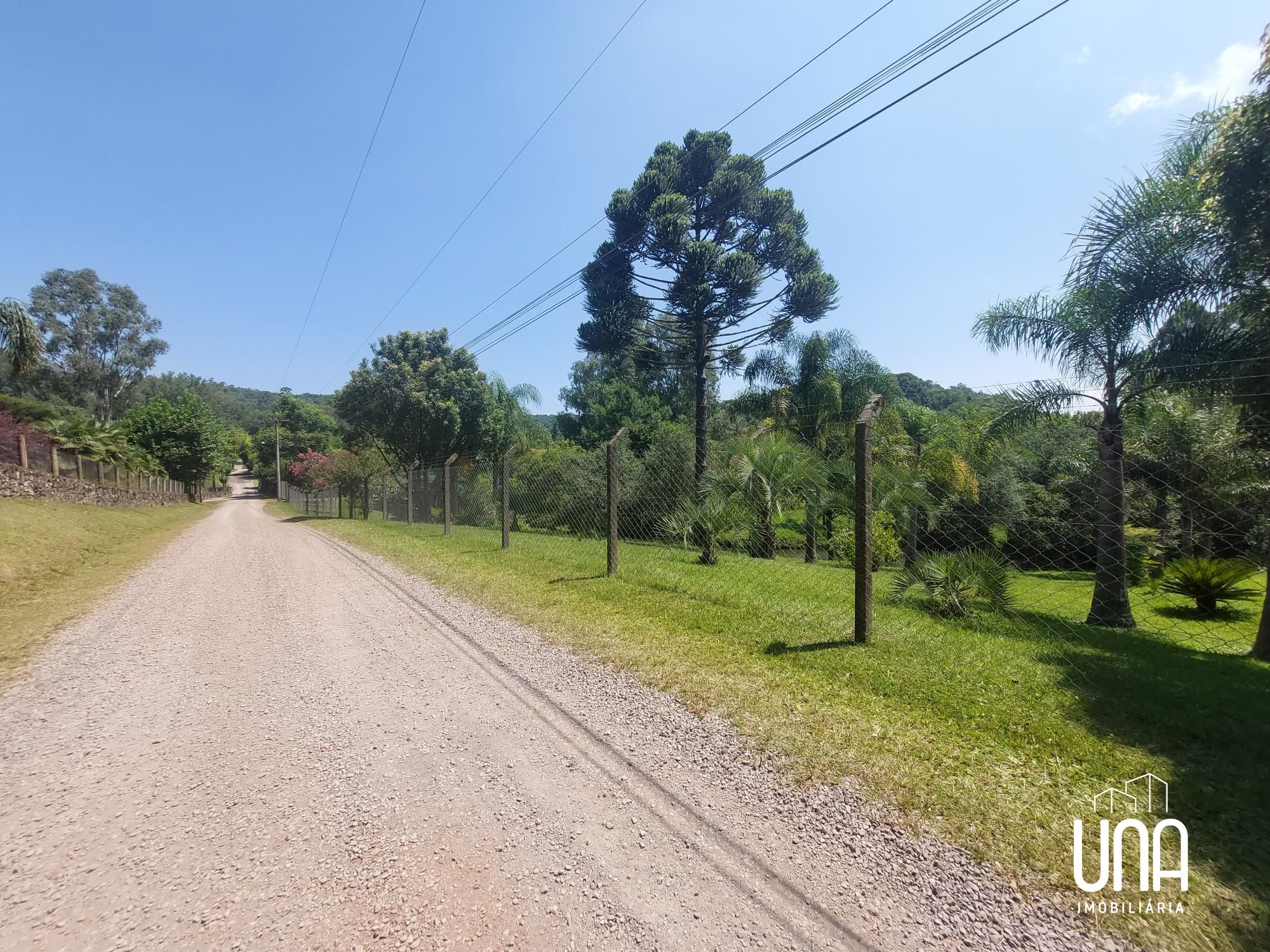 Chácara, 2 quartos, 2 hectares - Foto 7