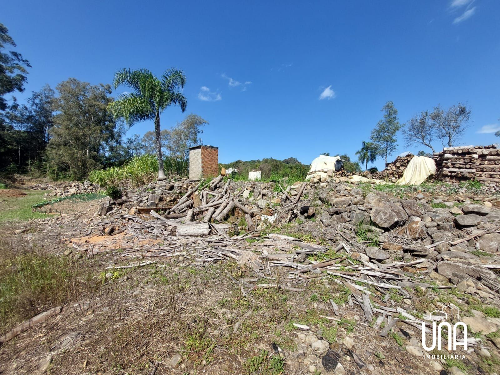 Terreno, 3000 m² - Foto 4