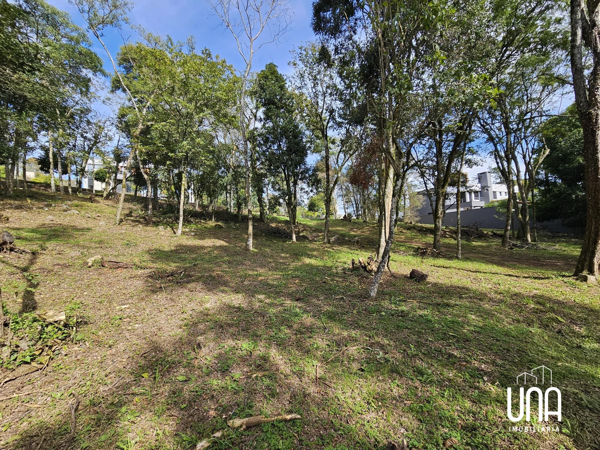 Terreno, 2283 m² - Foto 7