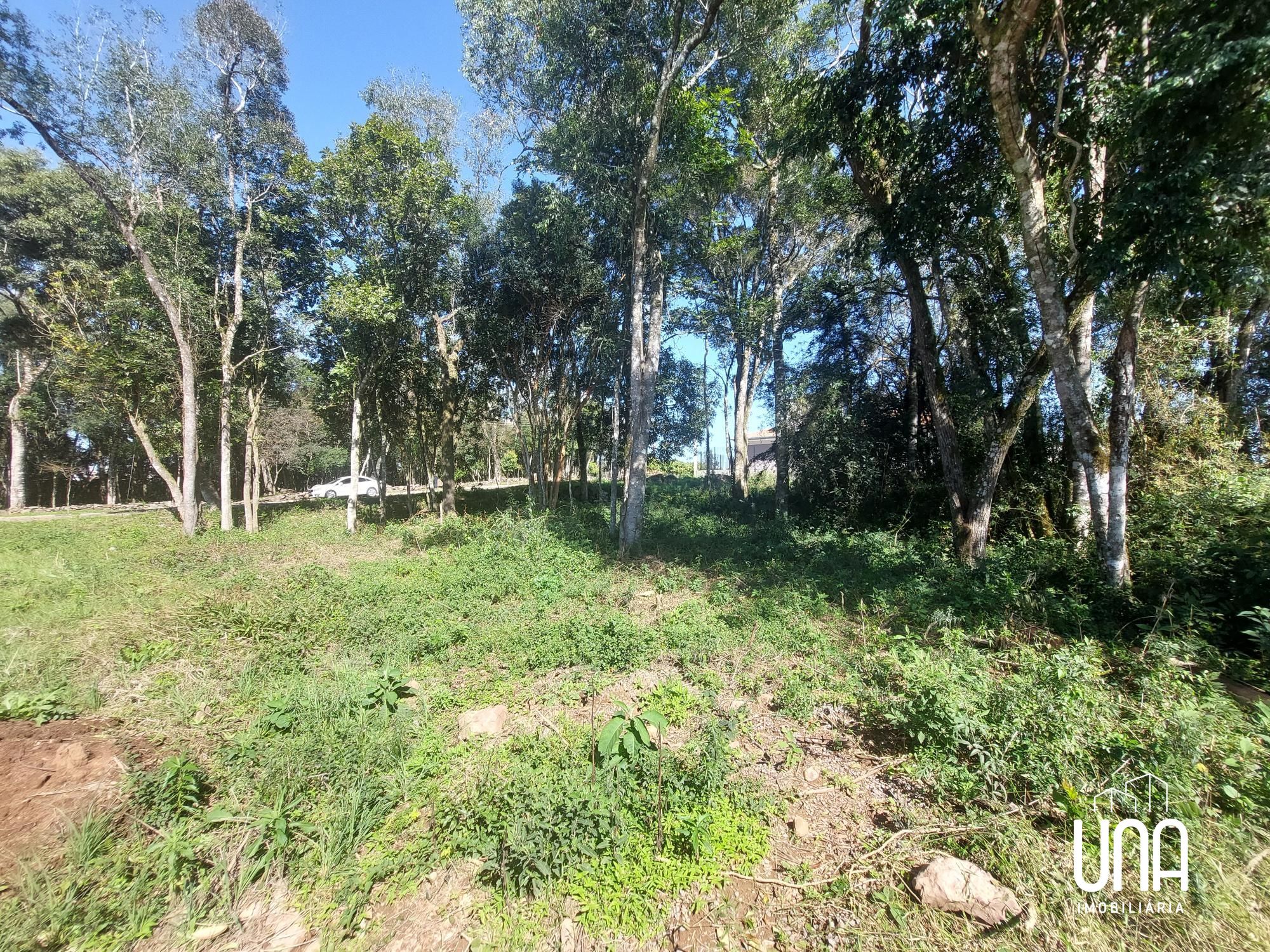 Terreno, 468 m² - Foto 5