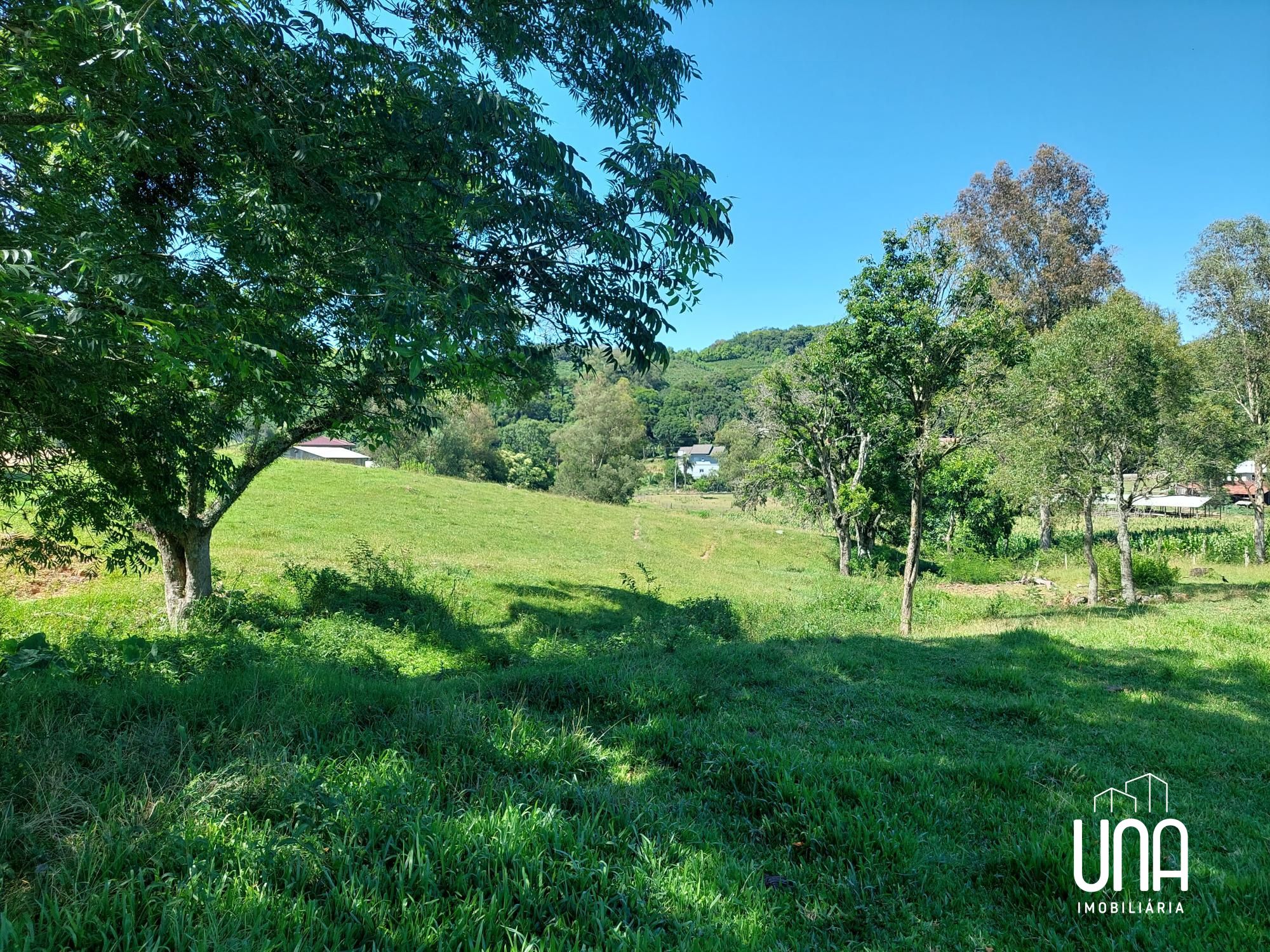Chácara, 2 hectares - Foto 2
