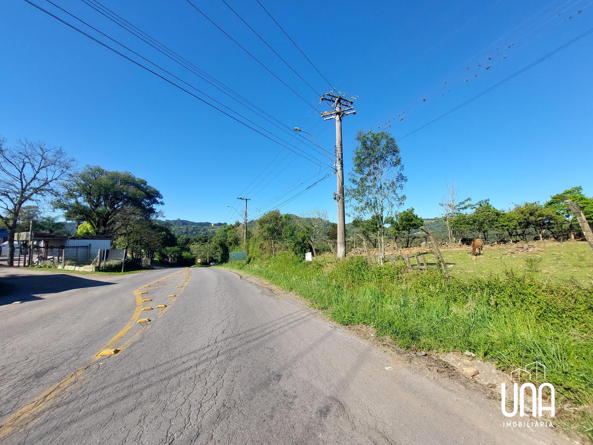 Terreno, 24 hectares - Foto 2