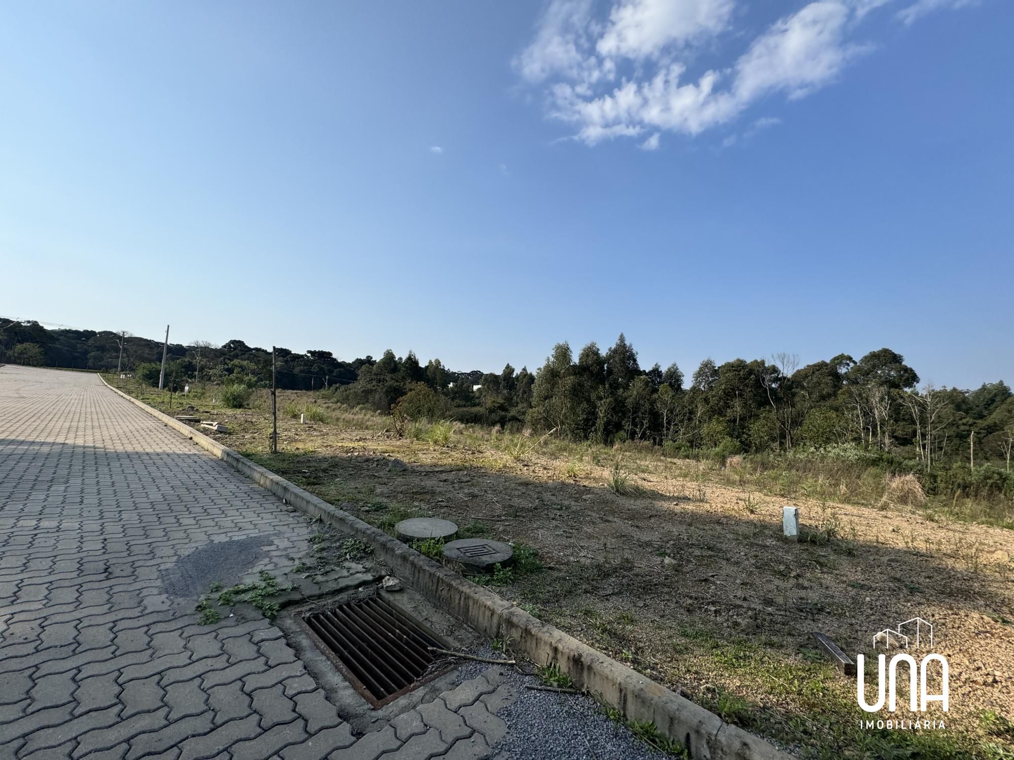 Terreno, 546 m² - Foto 4