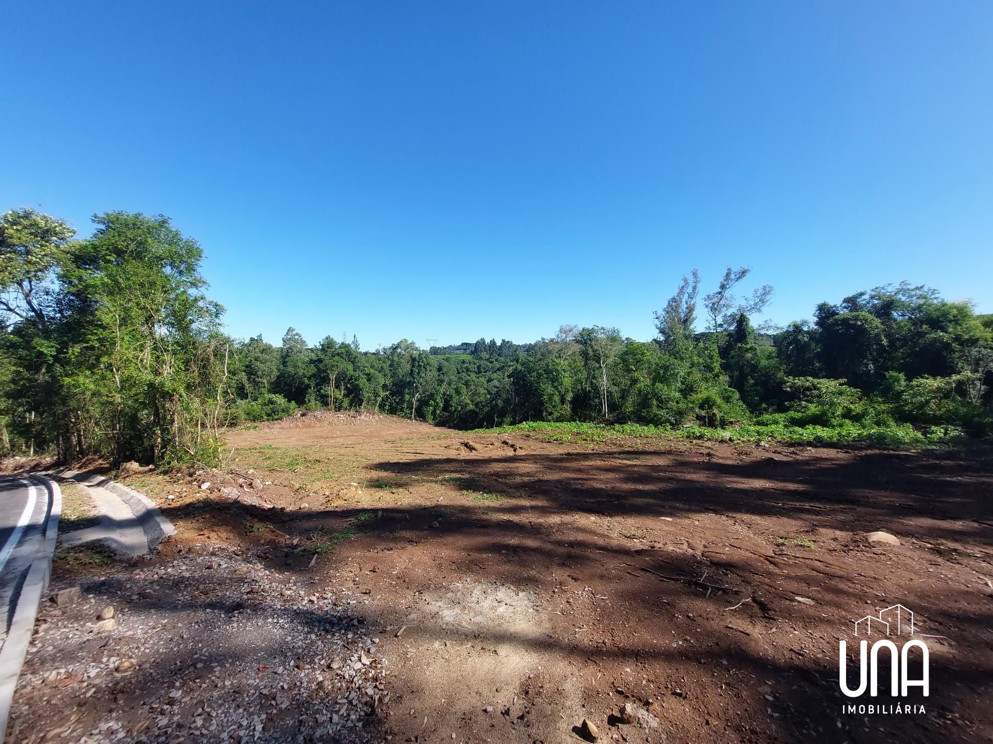 Chácara, 3 hectares - Foto 8