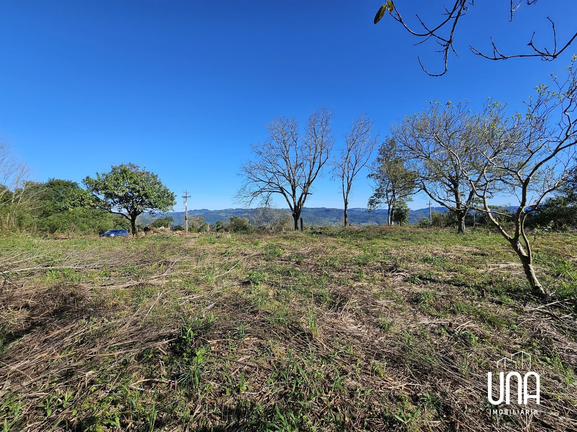 Sítio, 5 hectares - Foto 4
