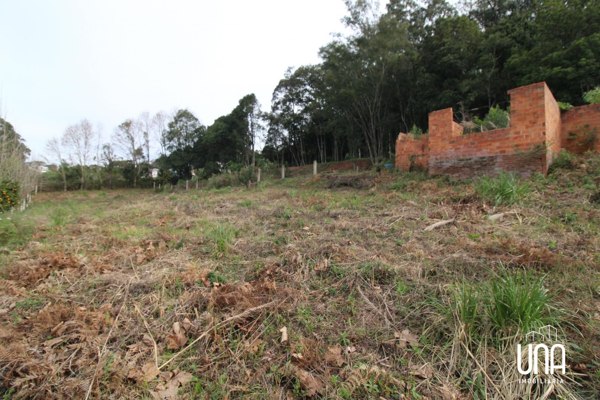 Terreno, 1155 m² - Foto 6
