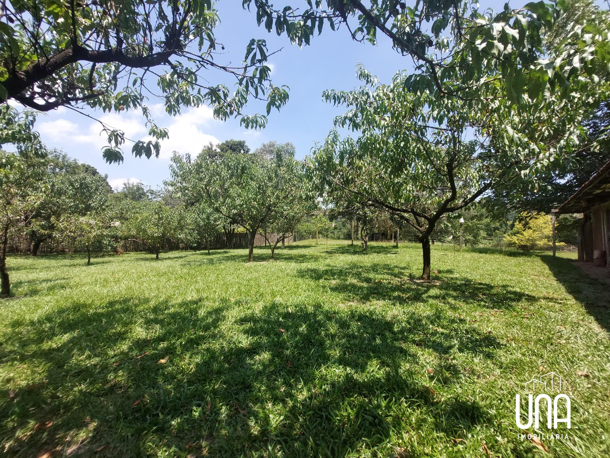 Chácara, 2 quartos, 2 hectares - Foto 19