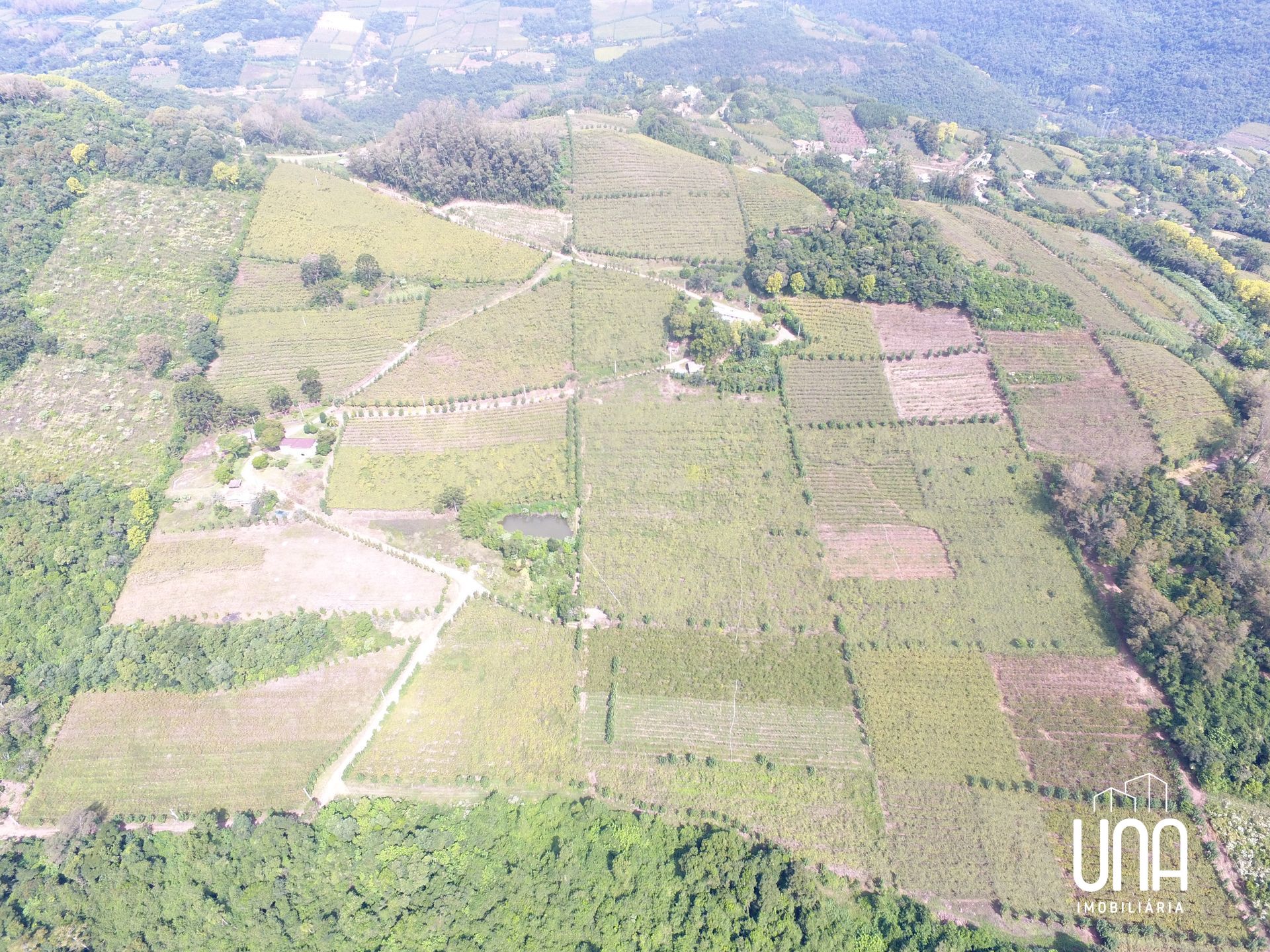 Chácara, 12 hectares - Foto 7