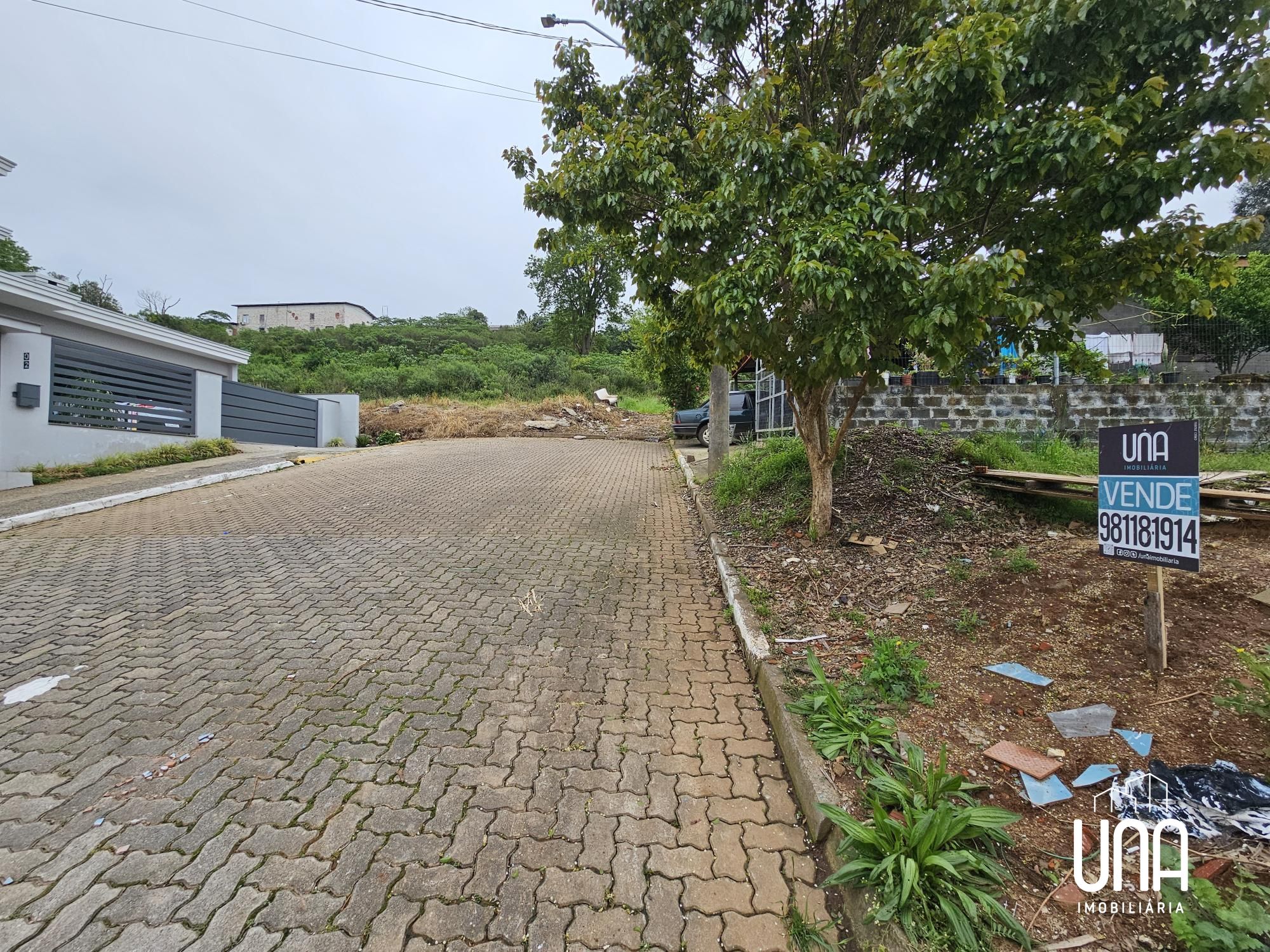 Terreno, 227 m² - Foto 3