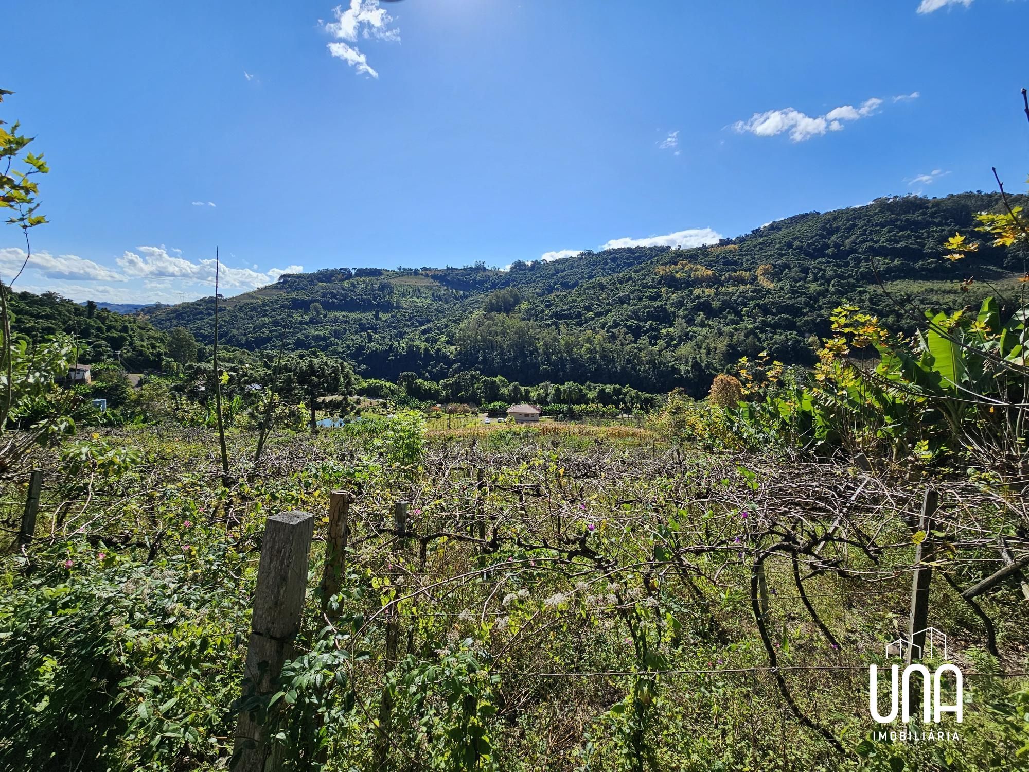 Sítio, 8900 m² - Foto 2