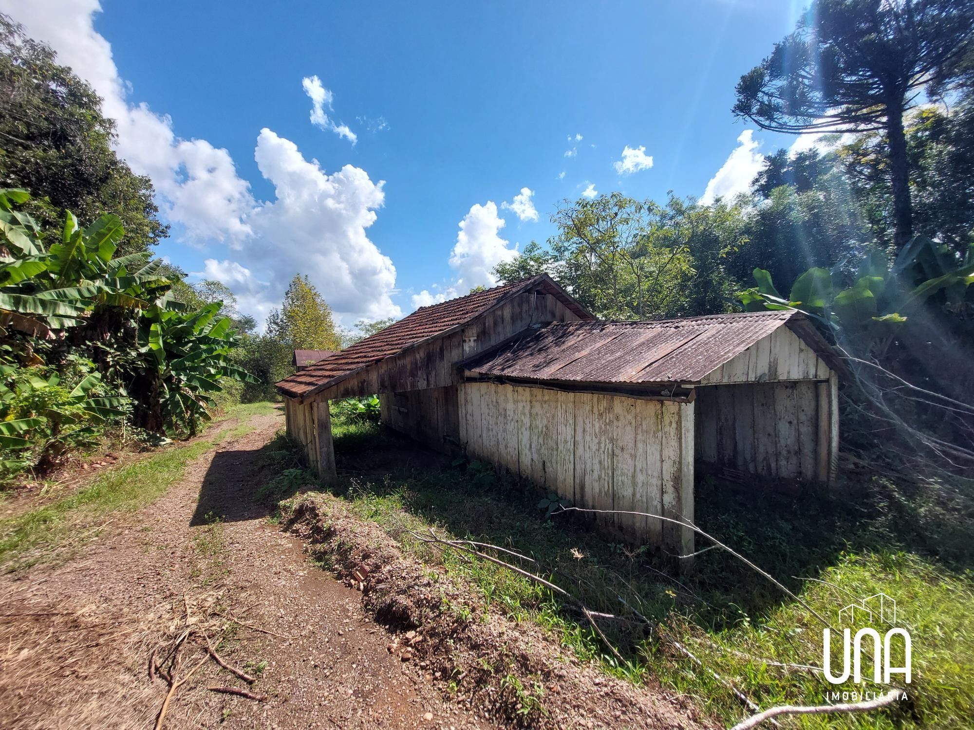 Chácara, 16 hectares - Foto 4