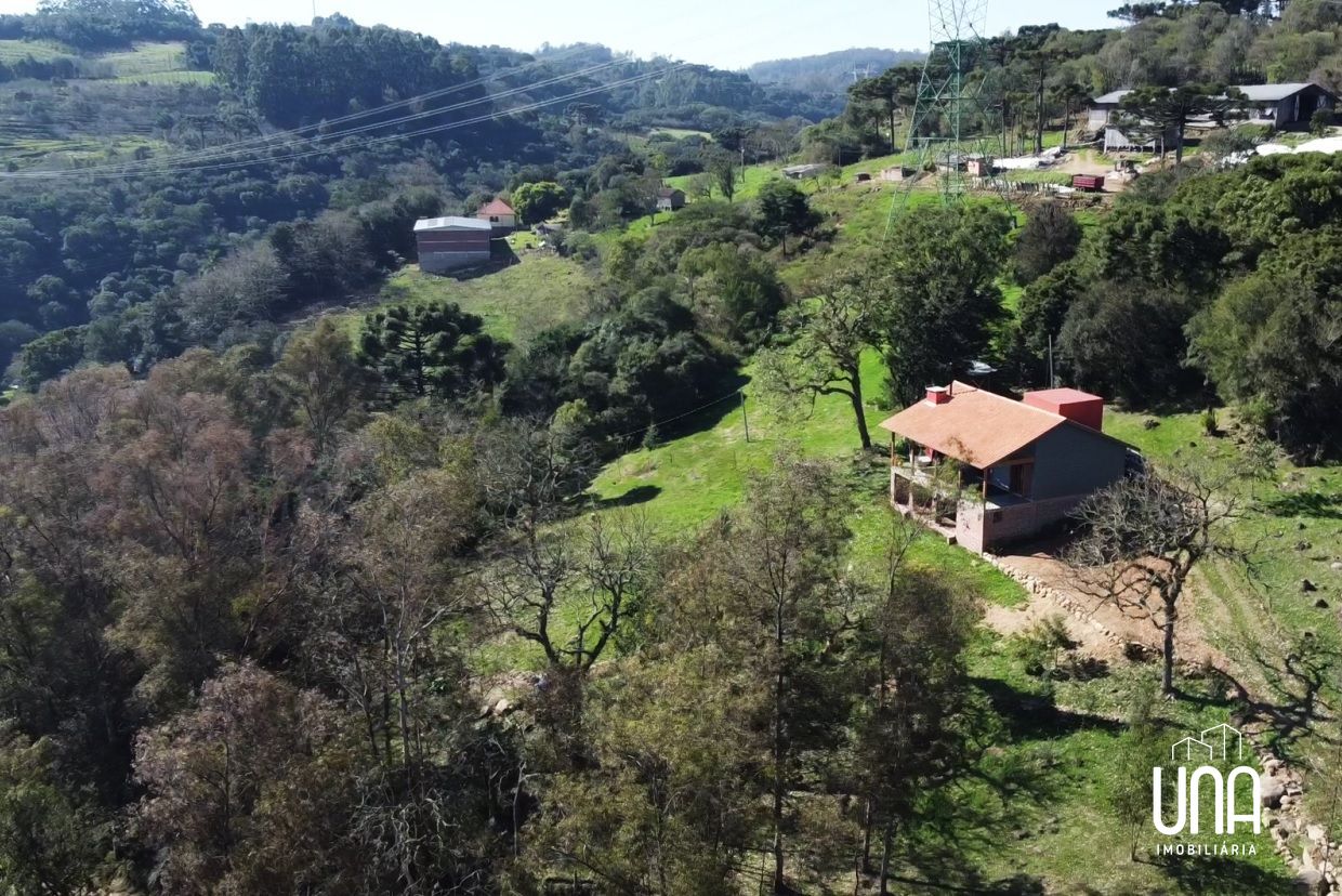 Chácara, 2 quartos, 9116 m² - Foto 7