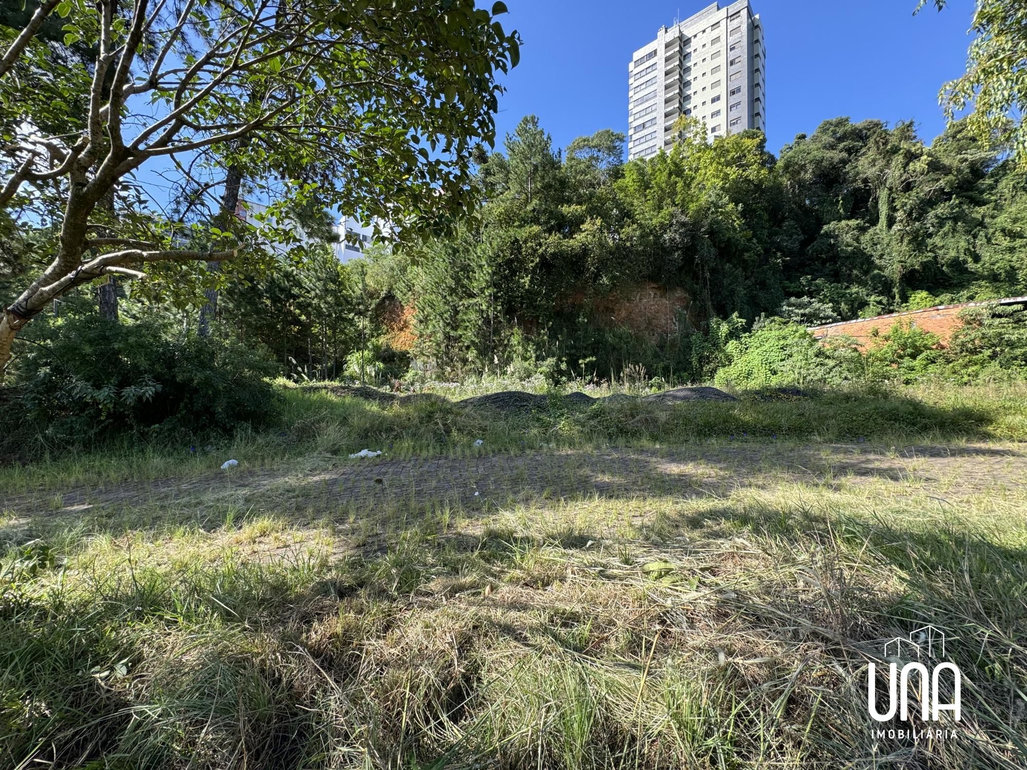 Terreno, 1766 m² - Foto 5