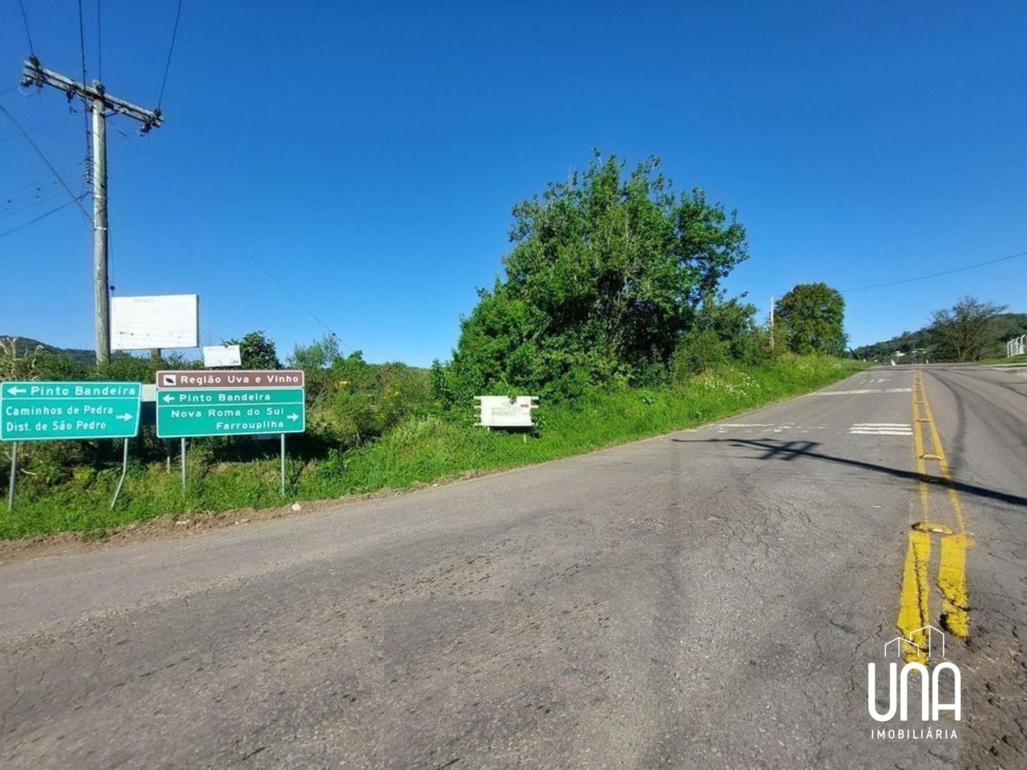 Terreno, 24 hectares - Foto 3