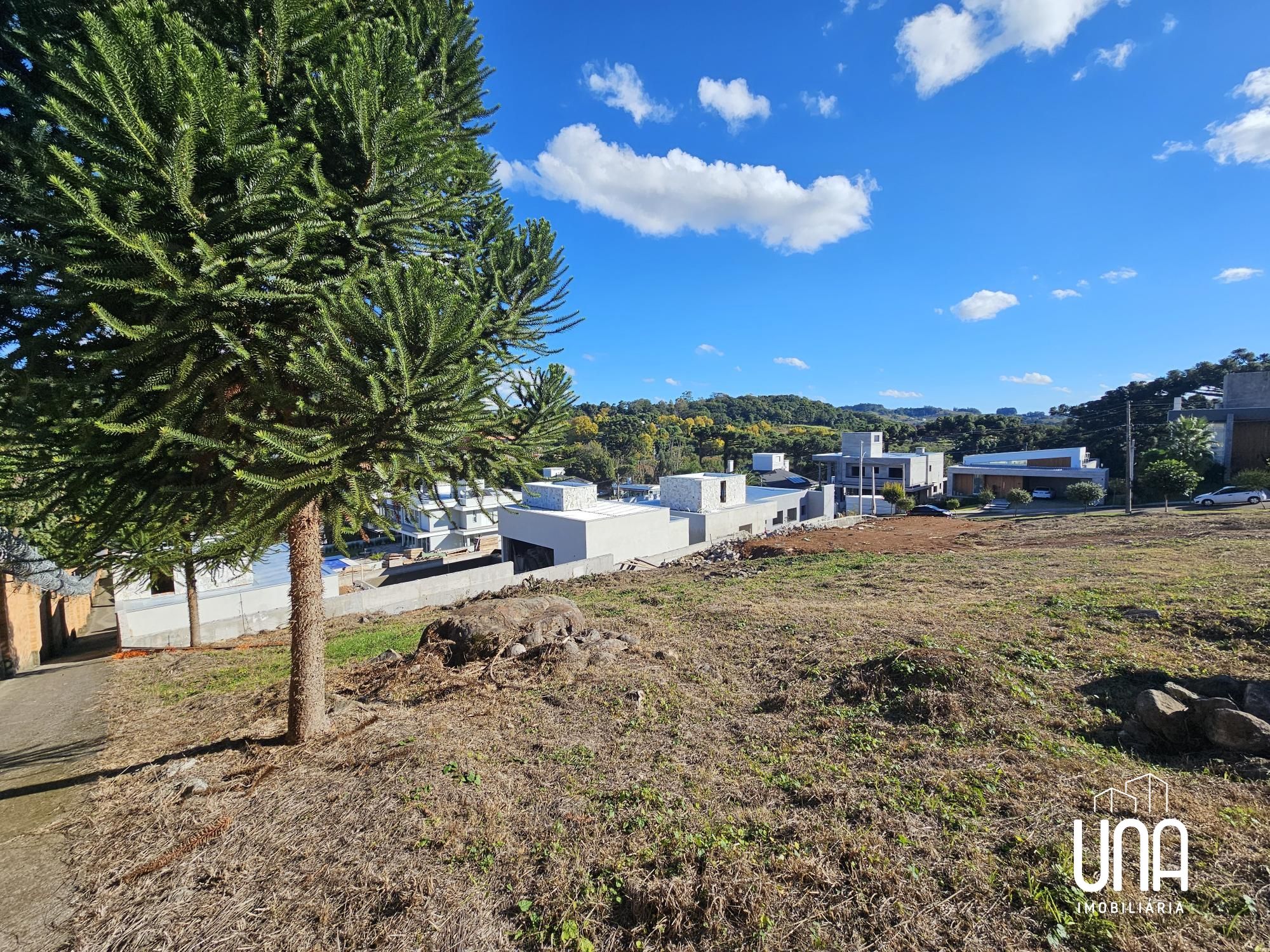 Terreno, 1955 m² - Foto 6