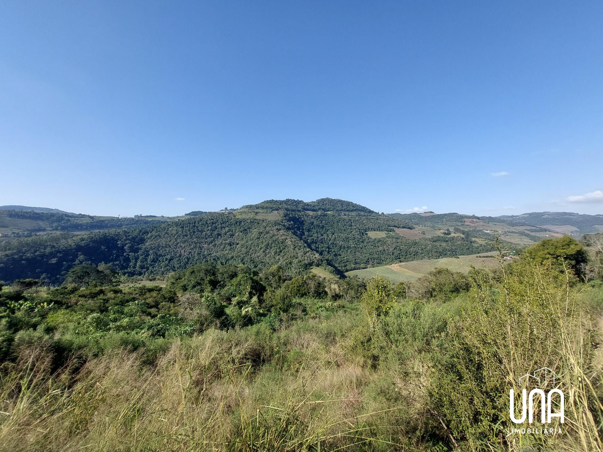 Chácara, 2 hectares - Foto 4