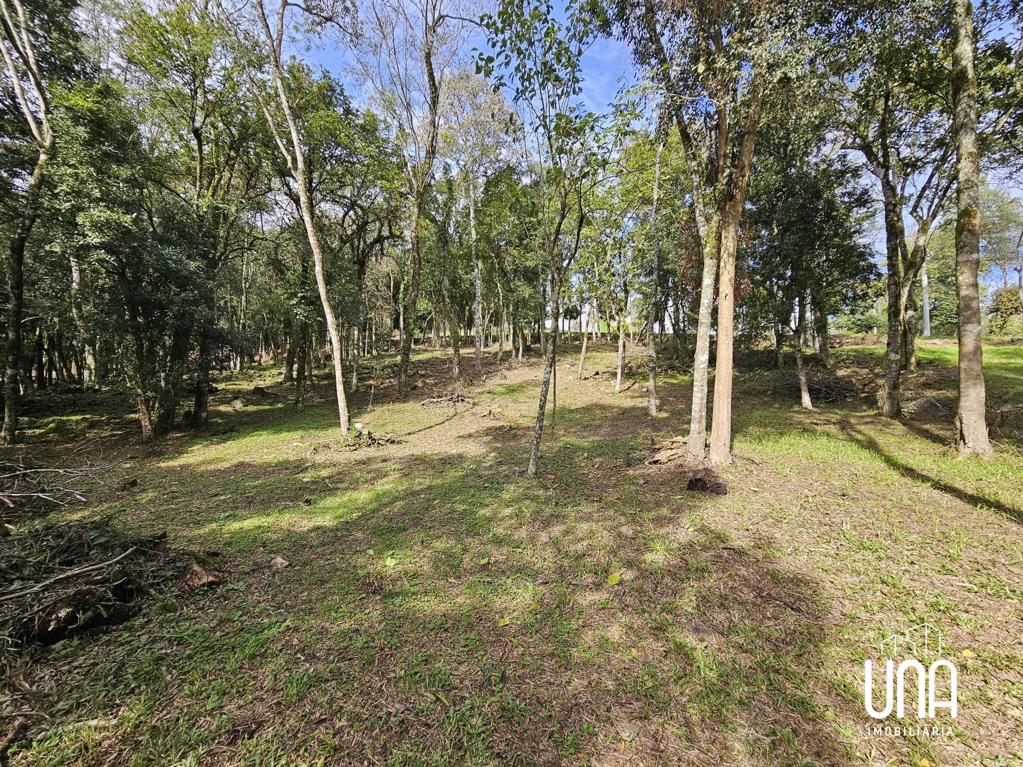 Terreno, 2283 m² - Foto 6