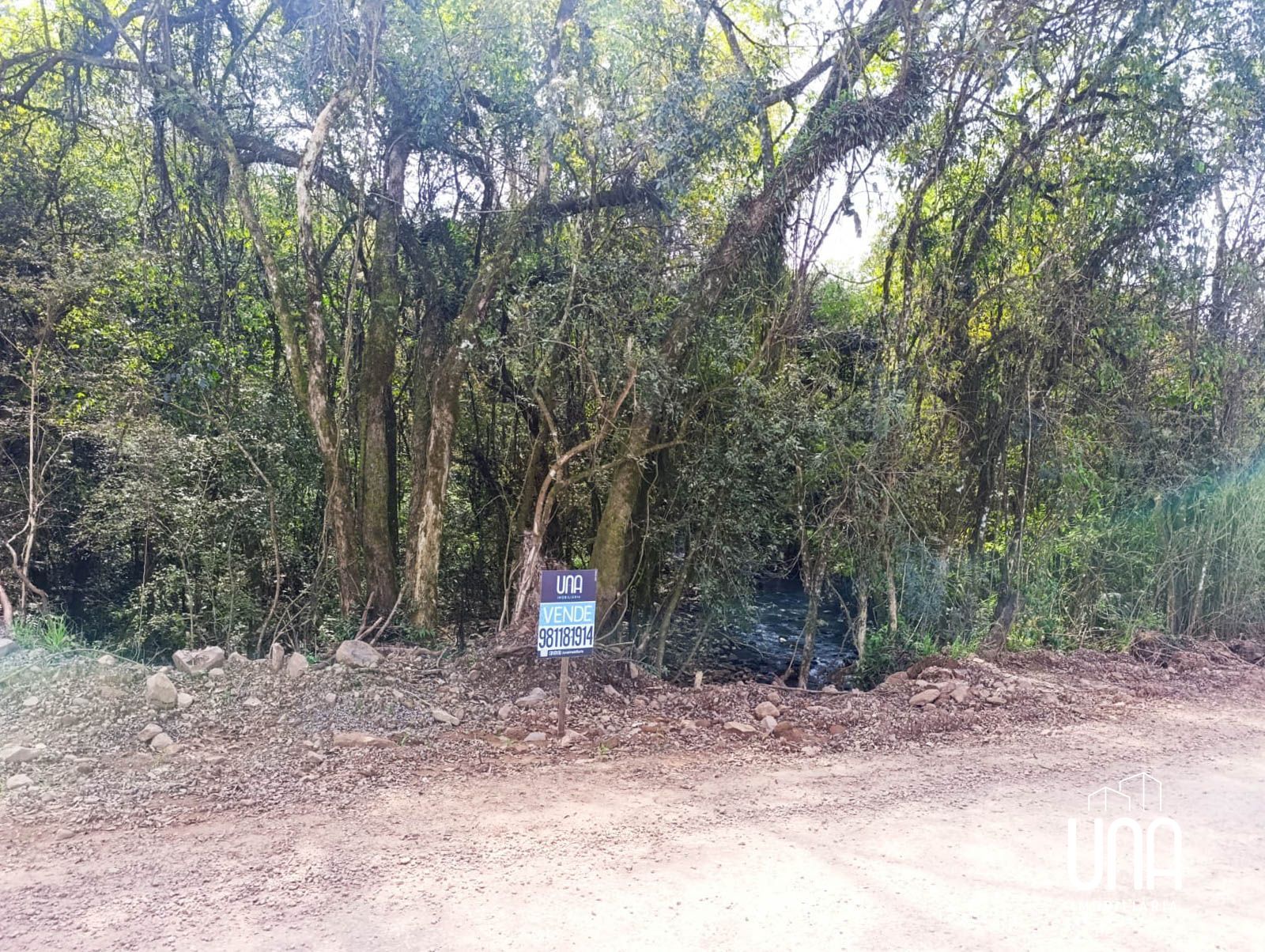 Chácara, 2 hectares - Foto 6