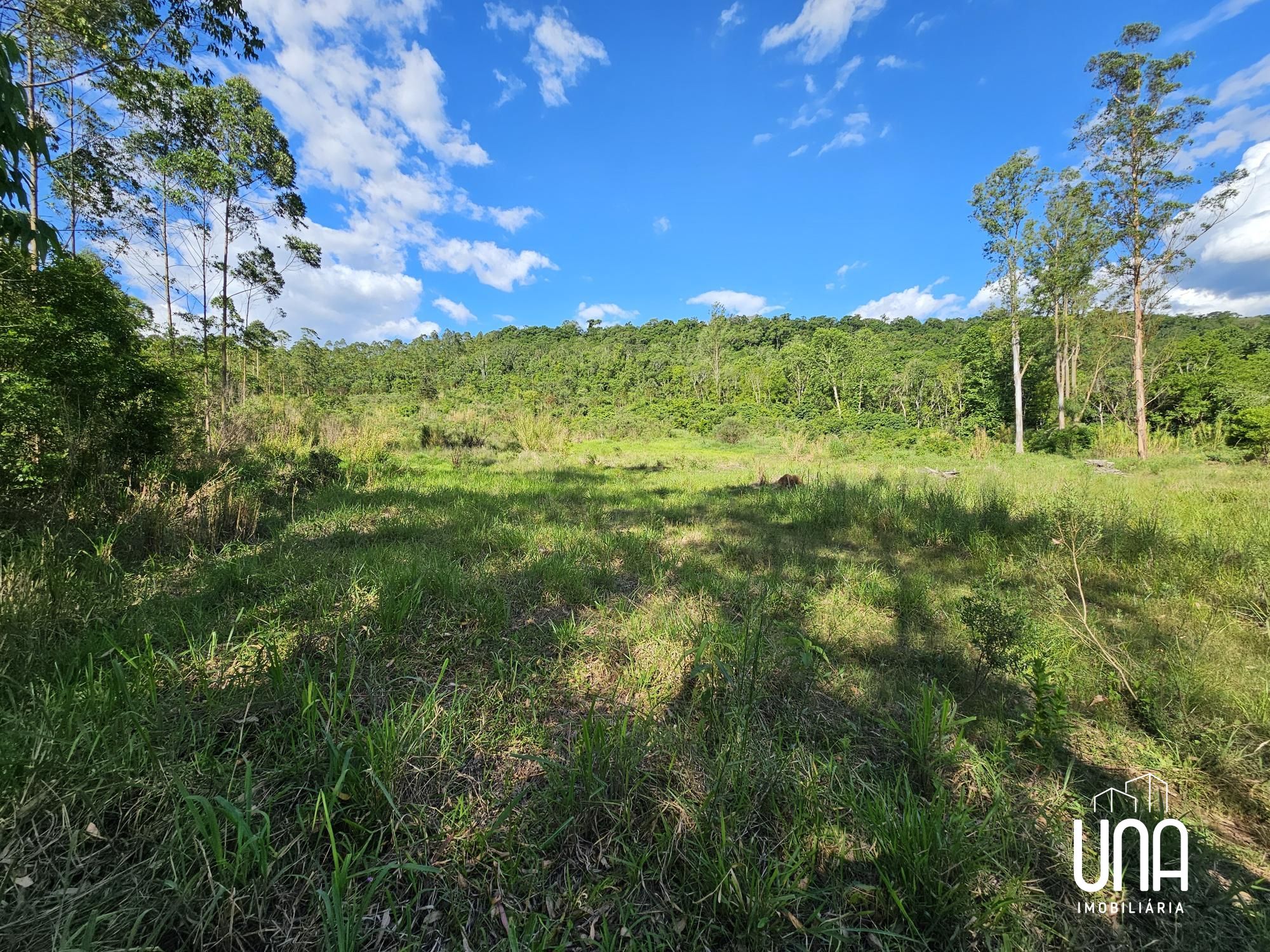 Chácara, 3 hectares - Foto 4