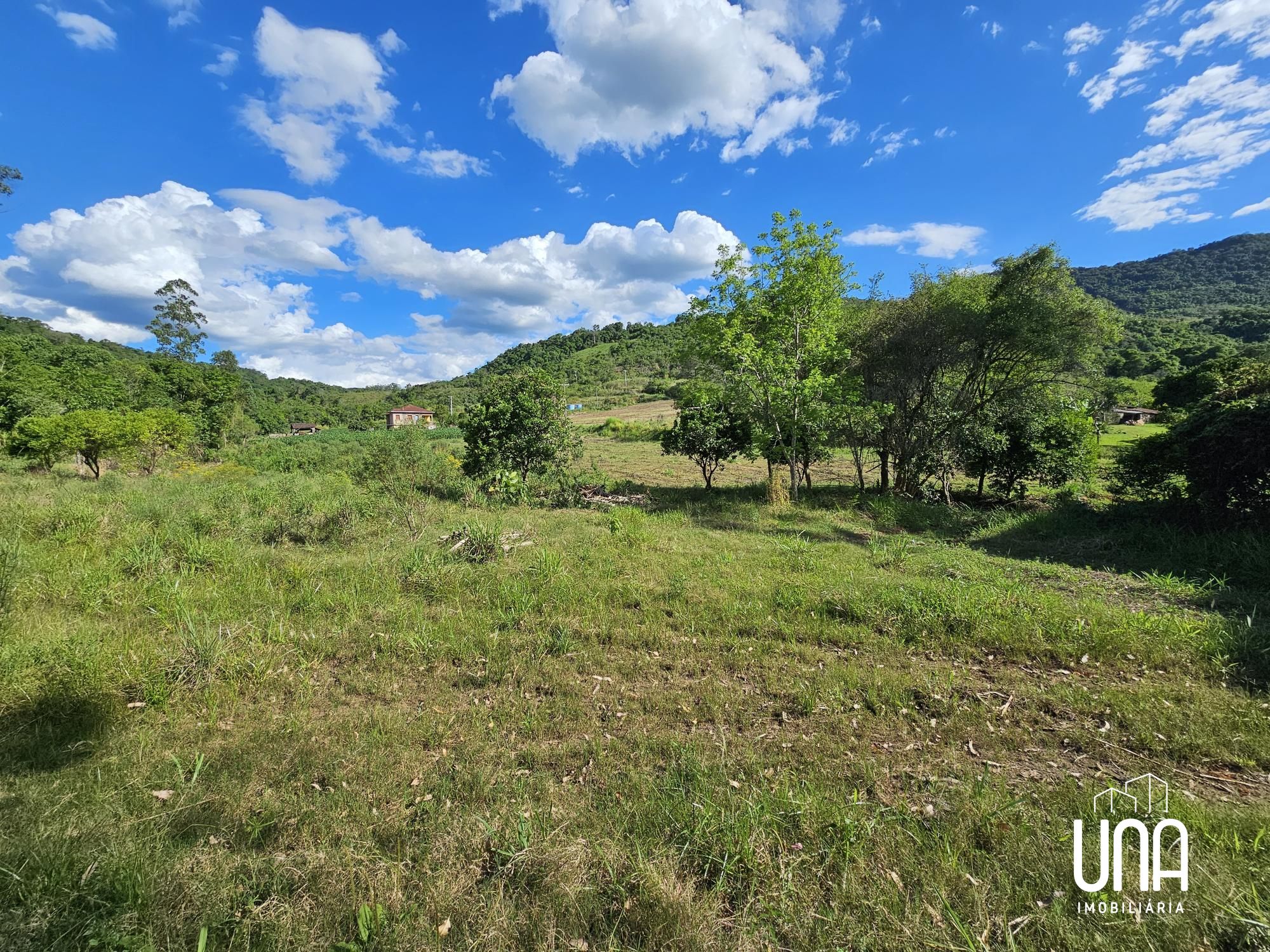Chácara, 3 hectares - Foto 8