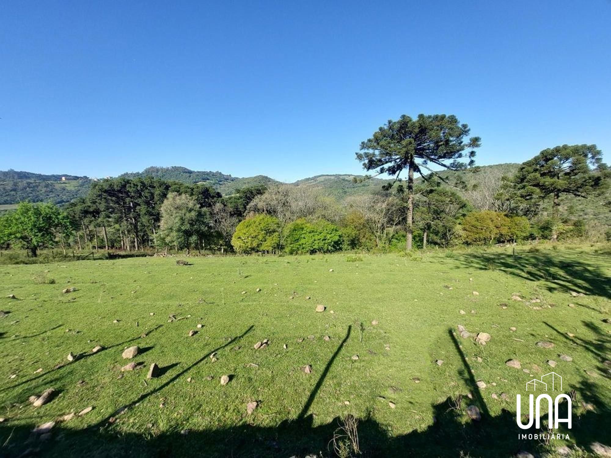 Terreno, 24 hectares - Foto 7