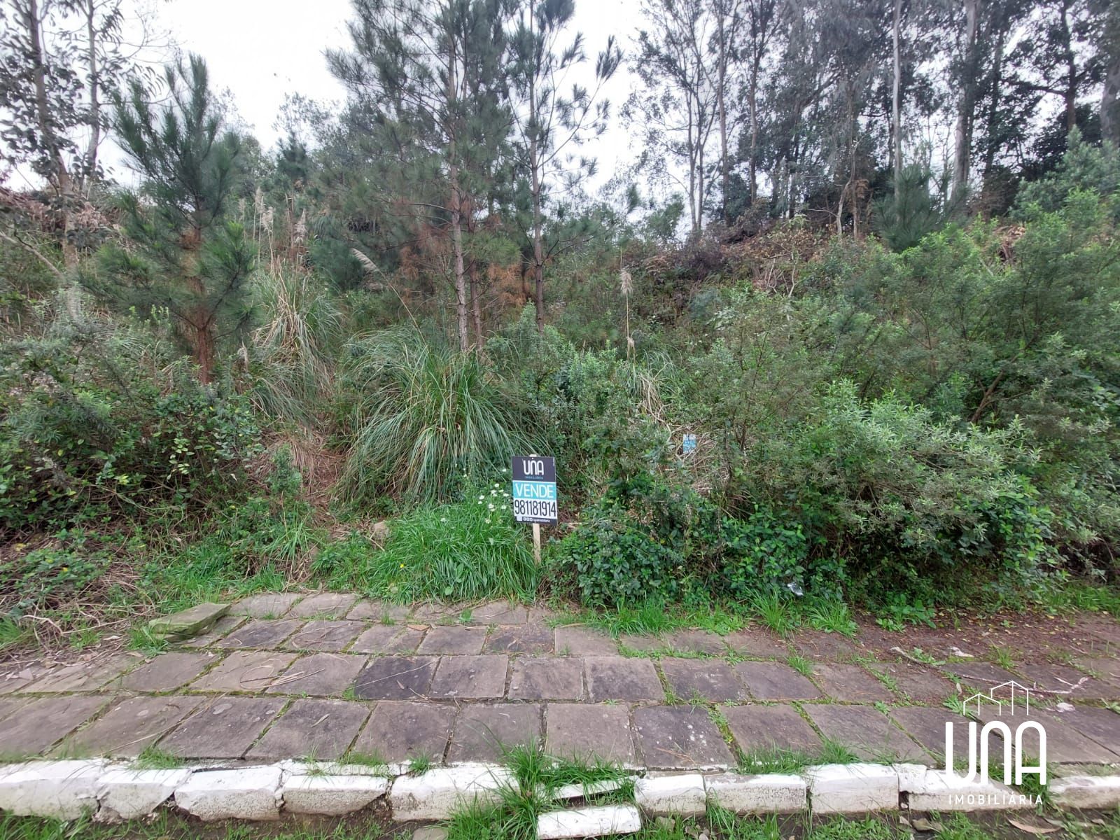 Terreno, 455 m² - Foto 1