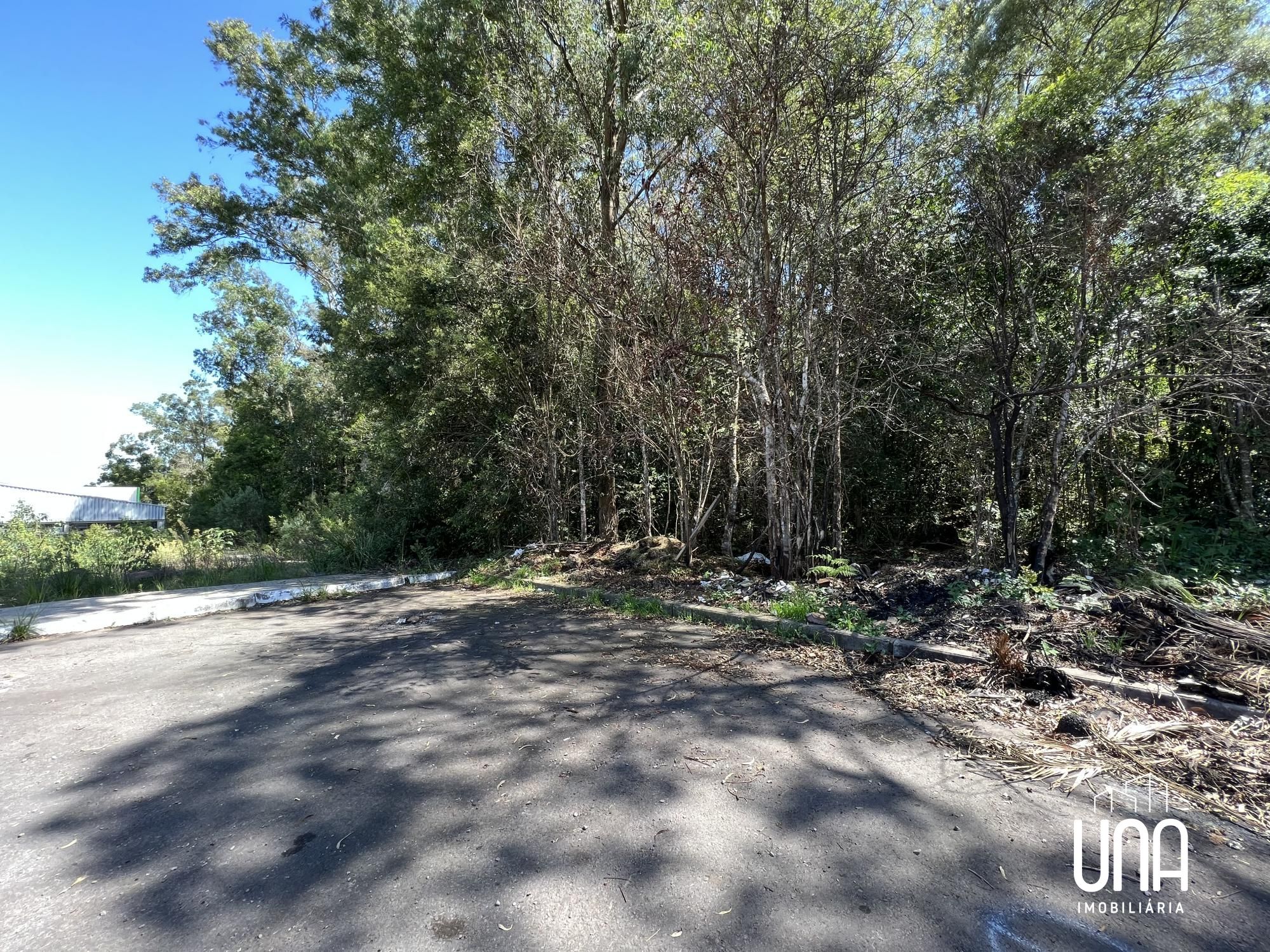 Terreno, 4 hectares - Foto 6