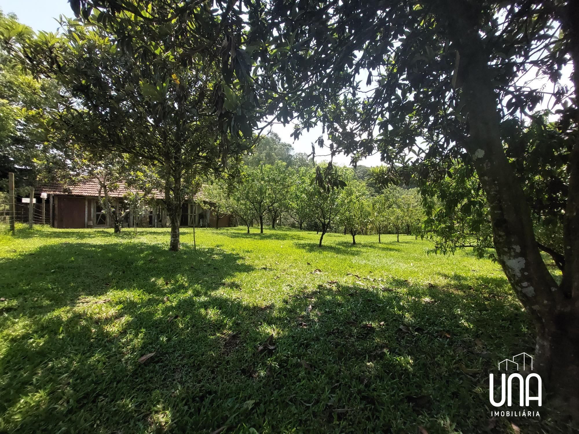 Chácara, 2 quartos, 2 hectares - Foto 16