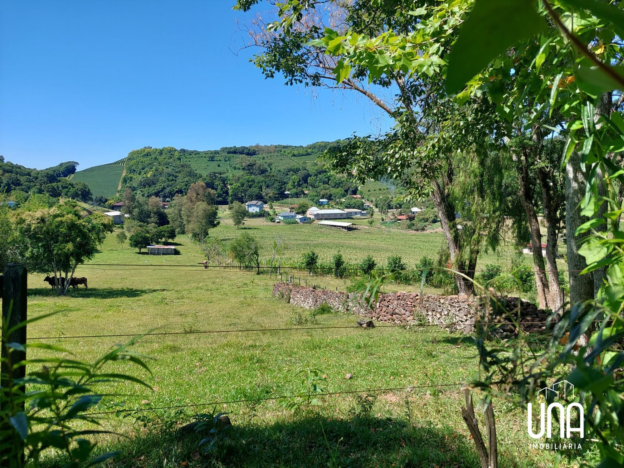 Chácara, 2 hectares - Foto 7