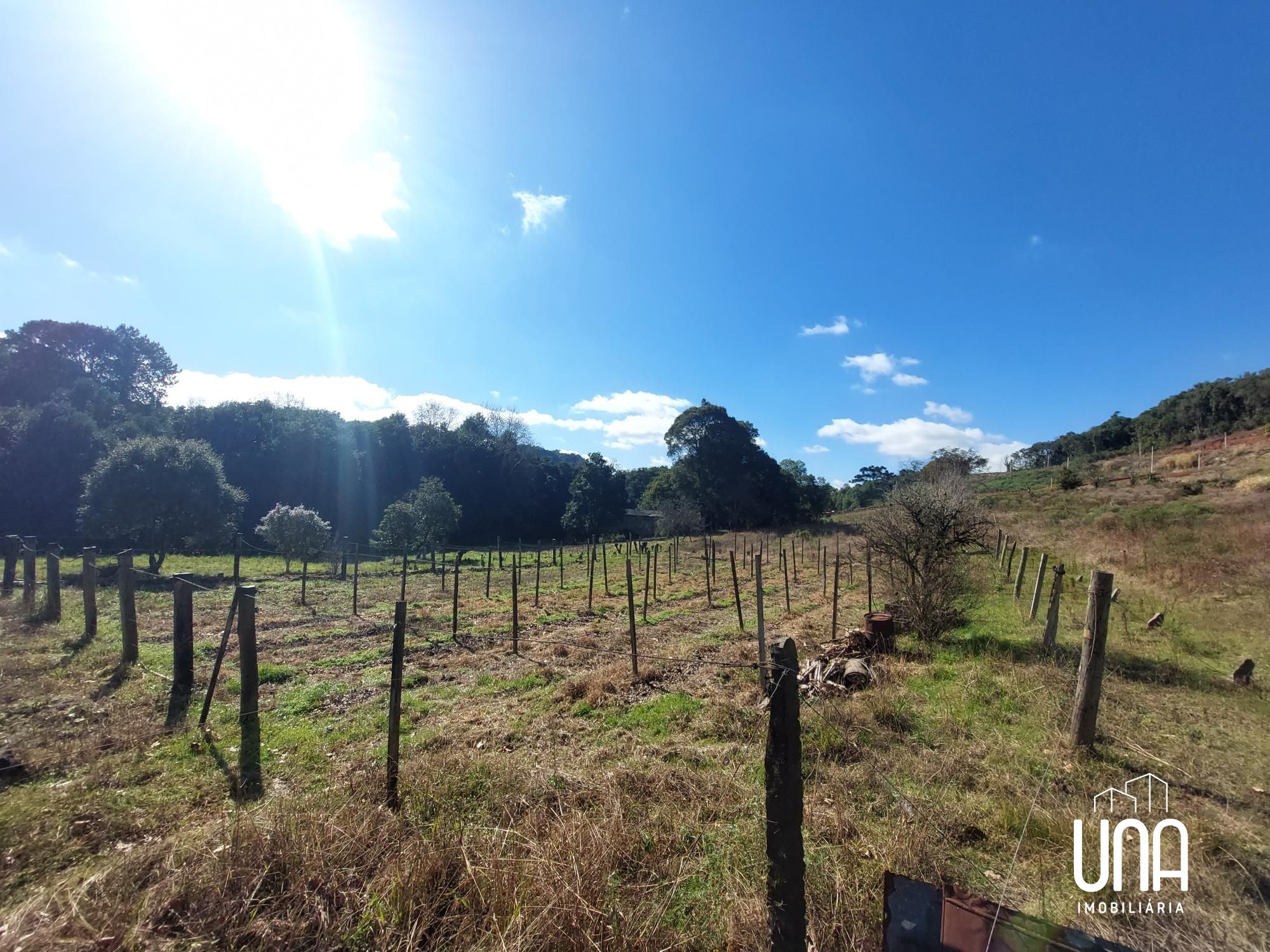 Terreno, 2 hectares - Foto 1