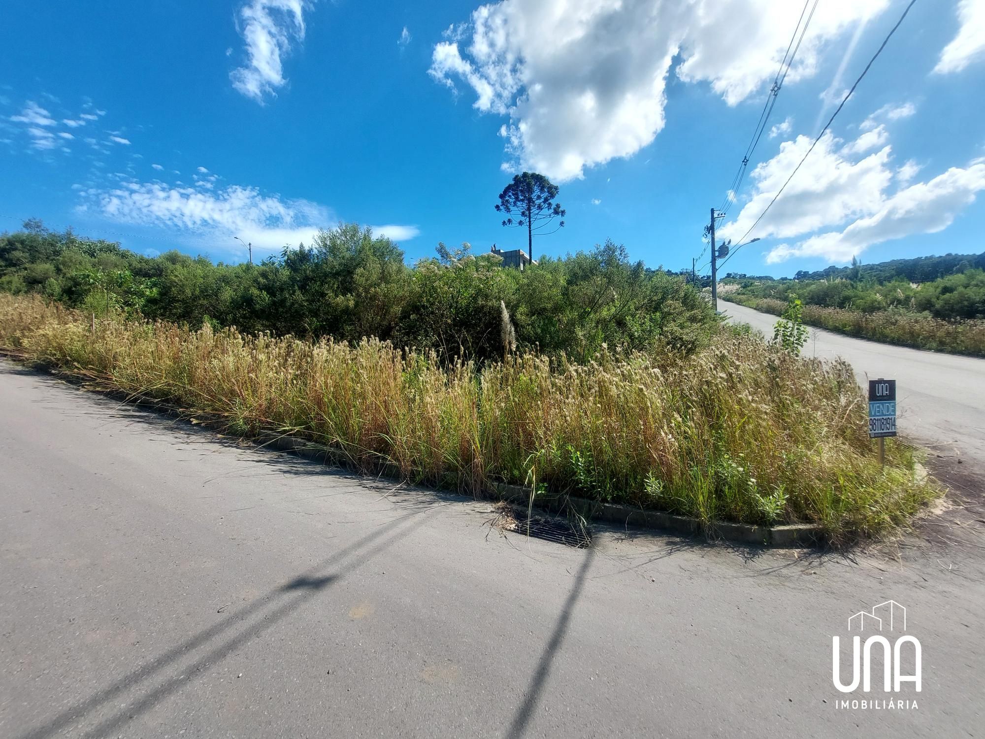 Terreno, 299 m² - Foto 4