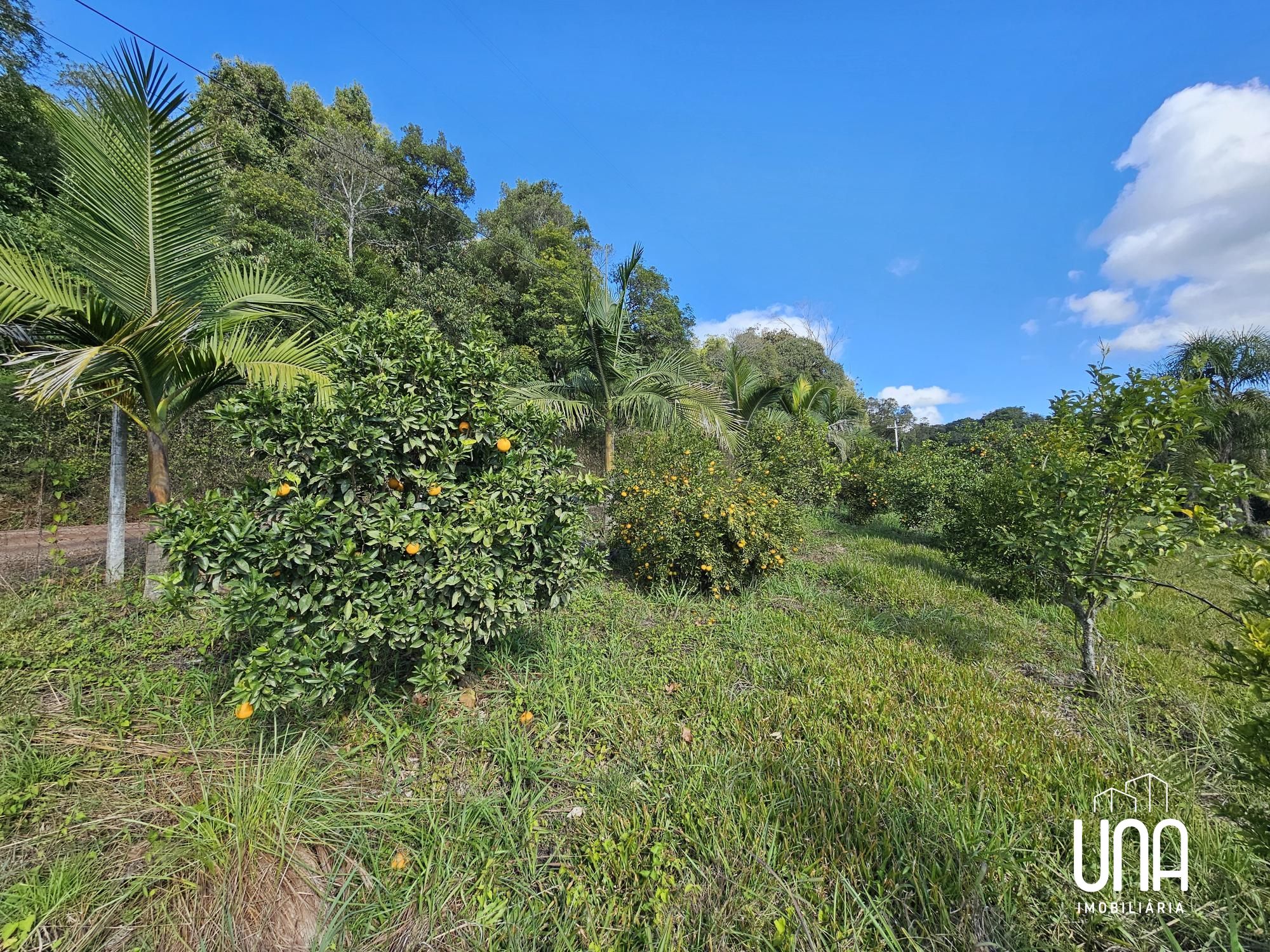 Chácara, 10000 m² - Foto 4