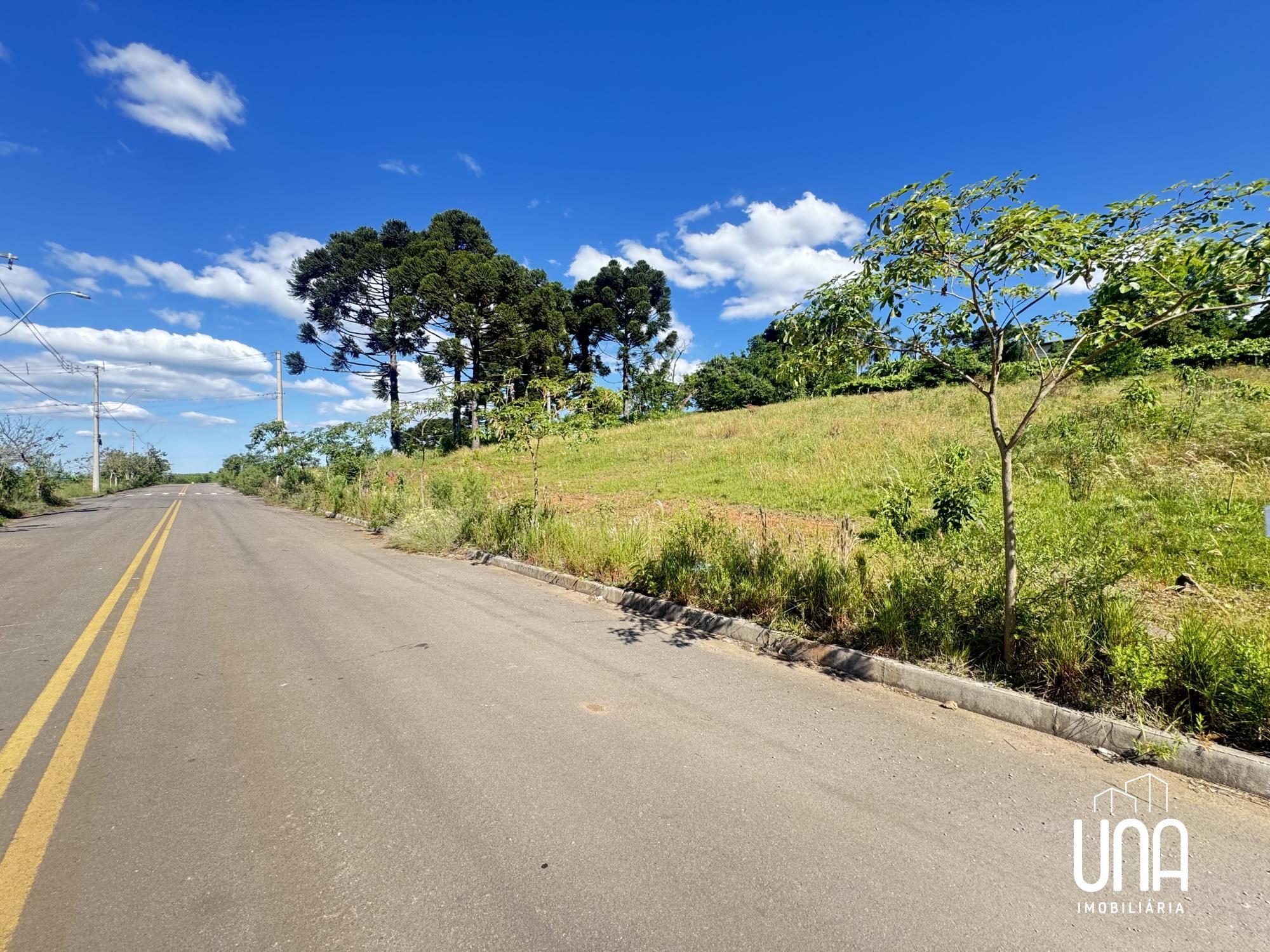 Terreno, 429 m² - Foto 4
