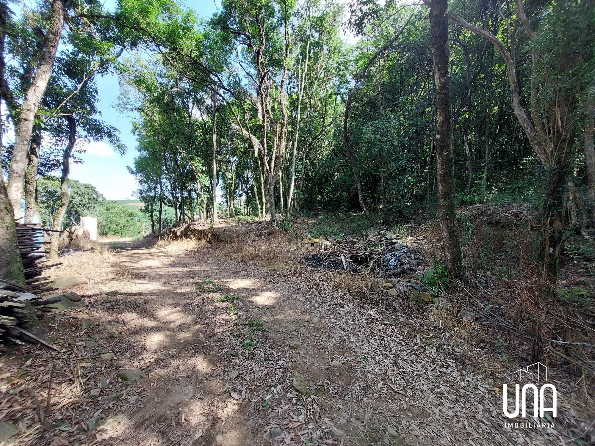 Chácara, 2 hectares - Foto 12