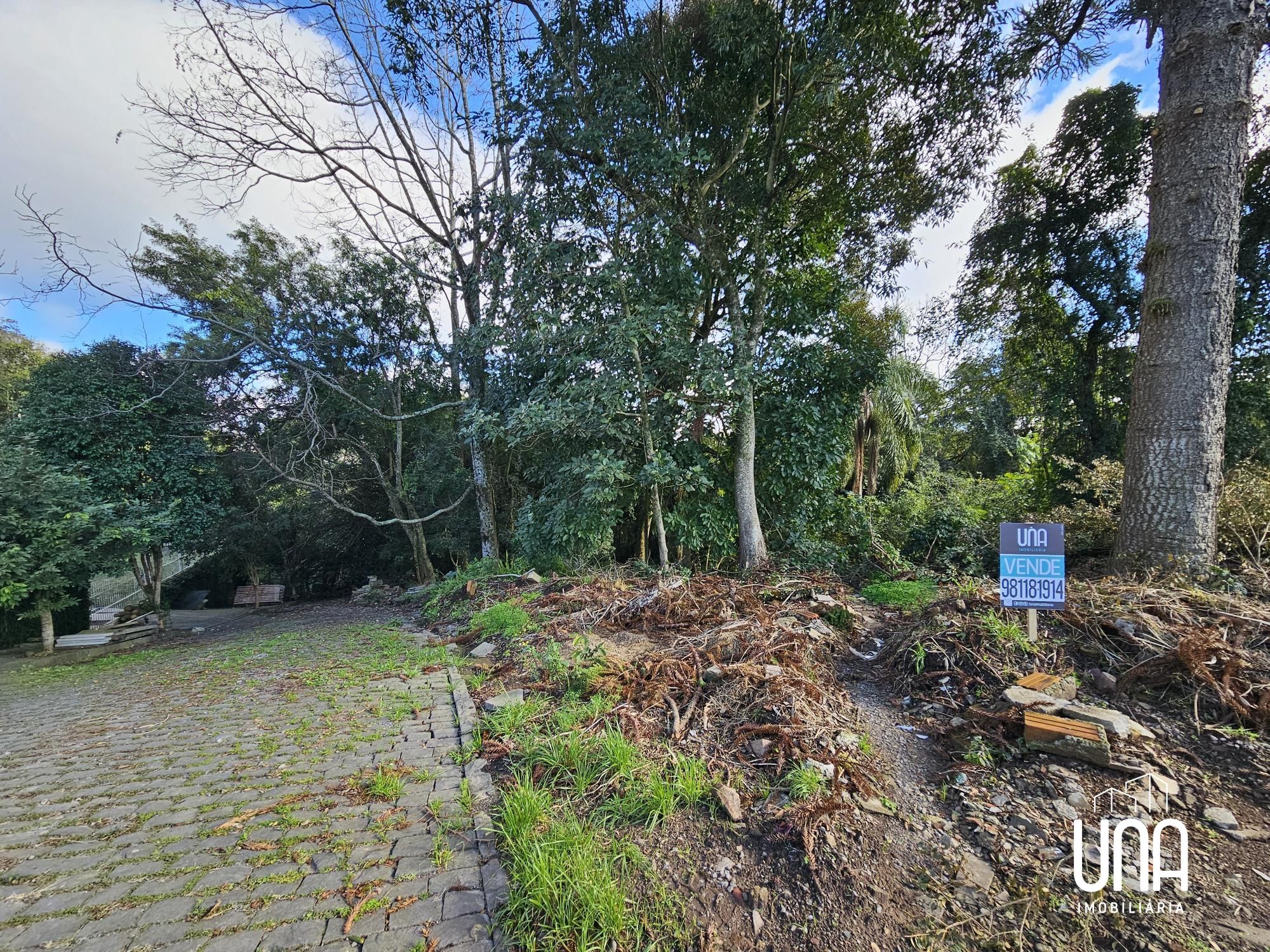 Terreno, 494 m² - Foto 5