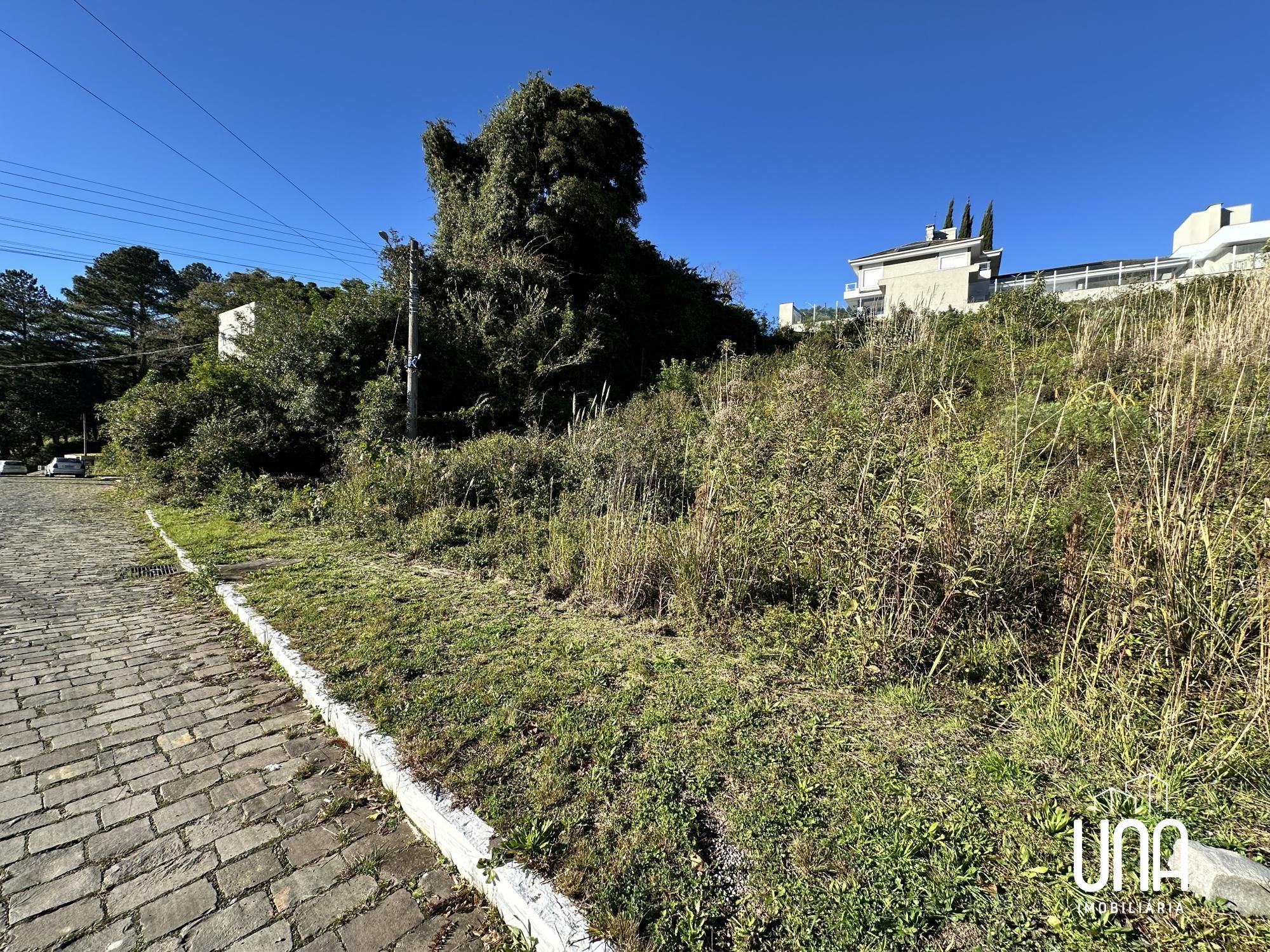 Terreno, 617 m² - Foto 3