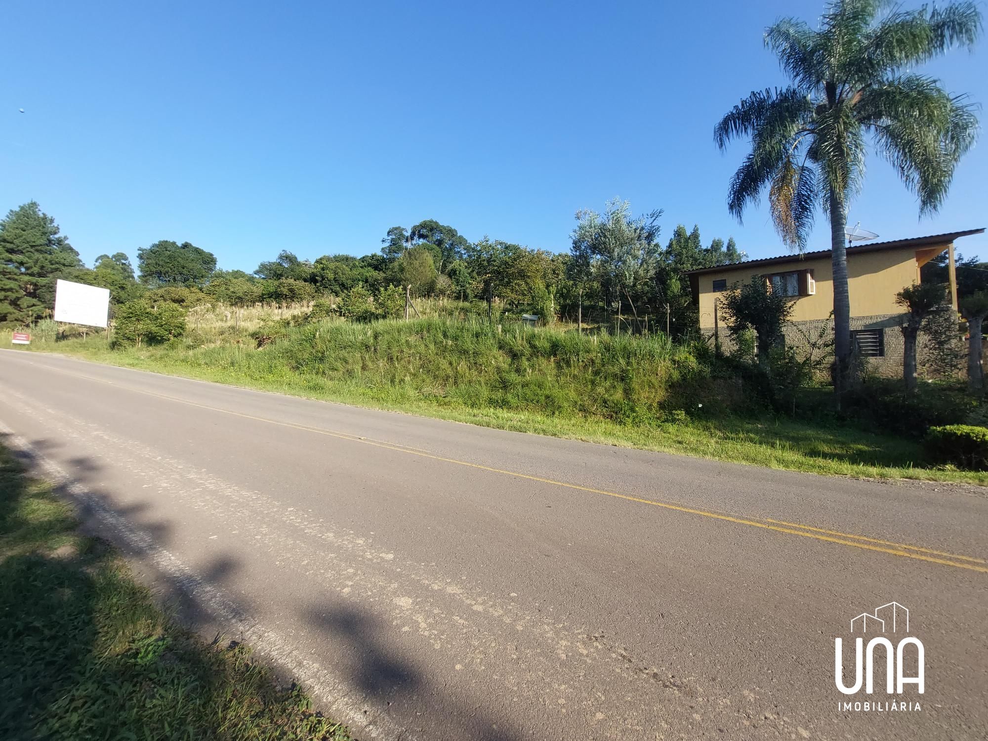 Chácara, 4 hectares - Foto 1