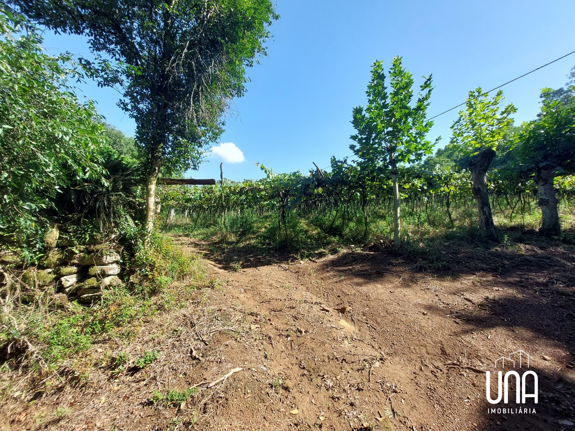 Chácara, 2 hectares - Foto 10