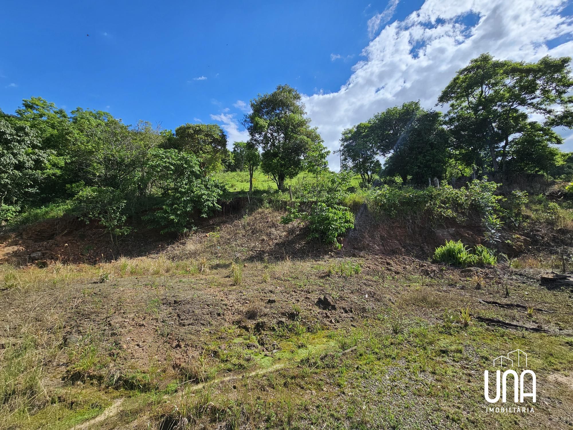 Chácara, 21 hectares - Foto 8