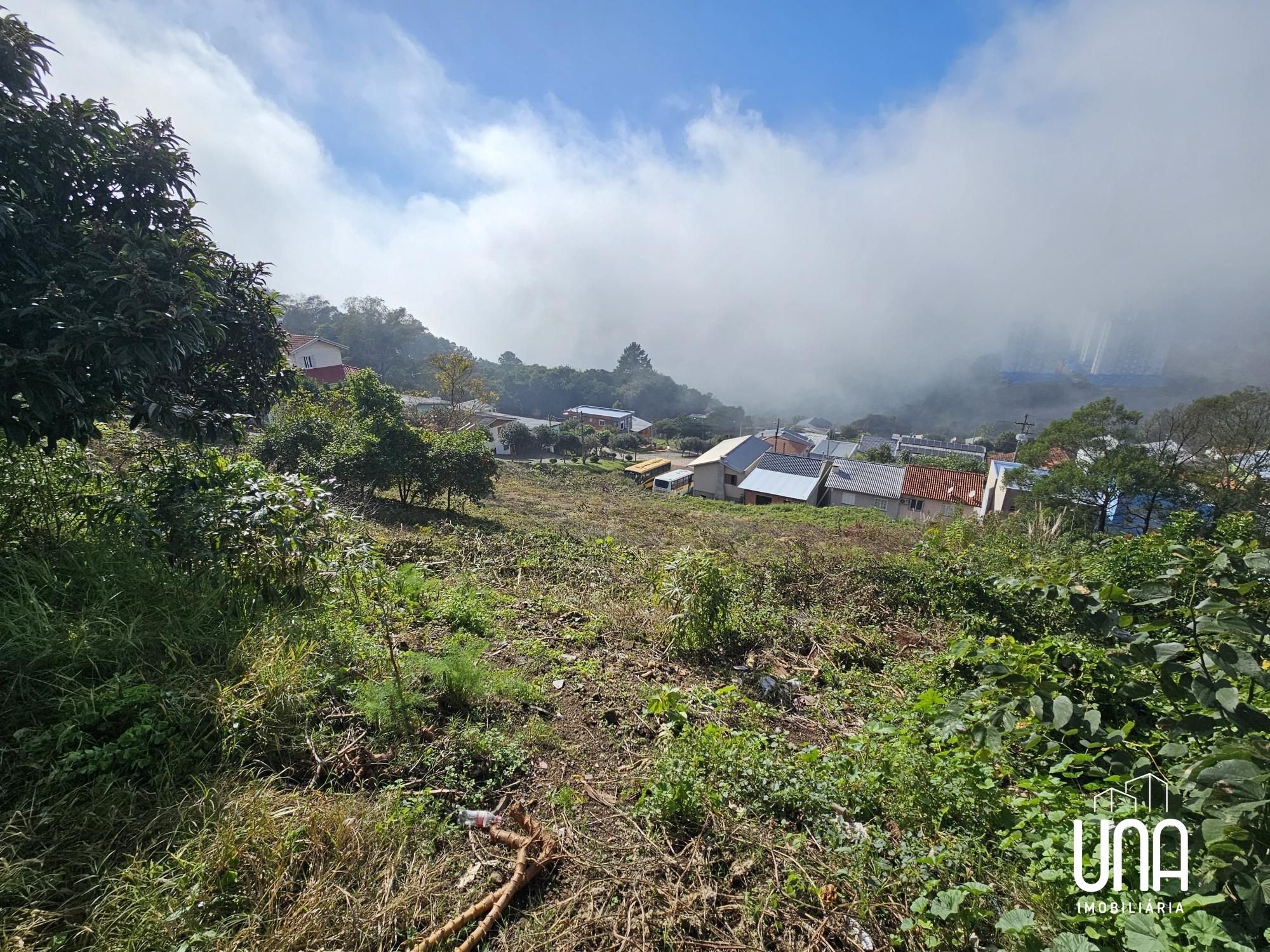 Terreno, 493 m² - Foto 5