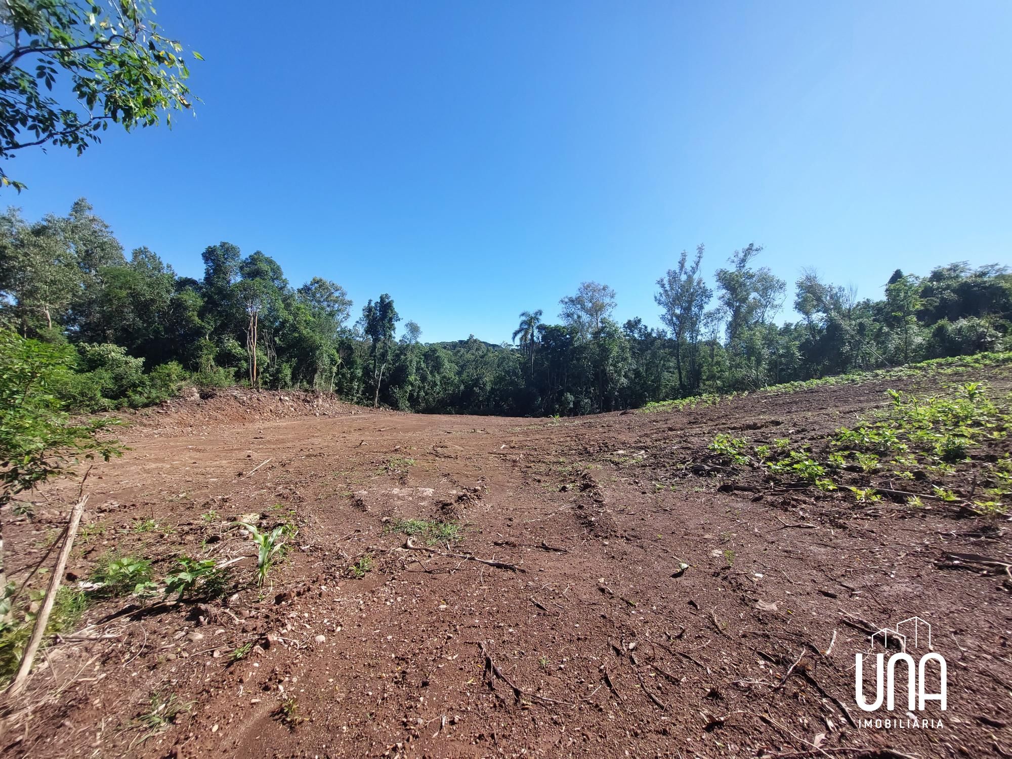 Chácara, 3 hectares - Foto 6