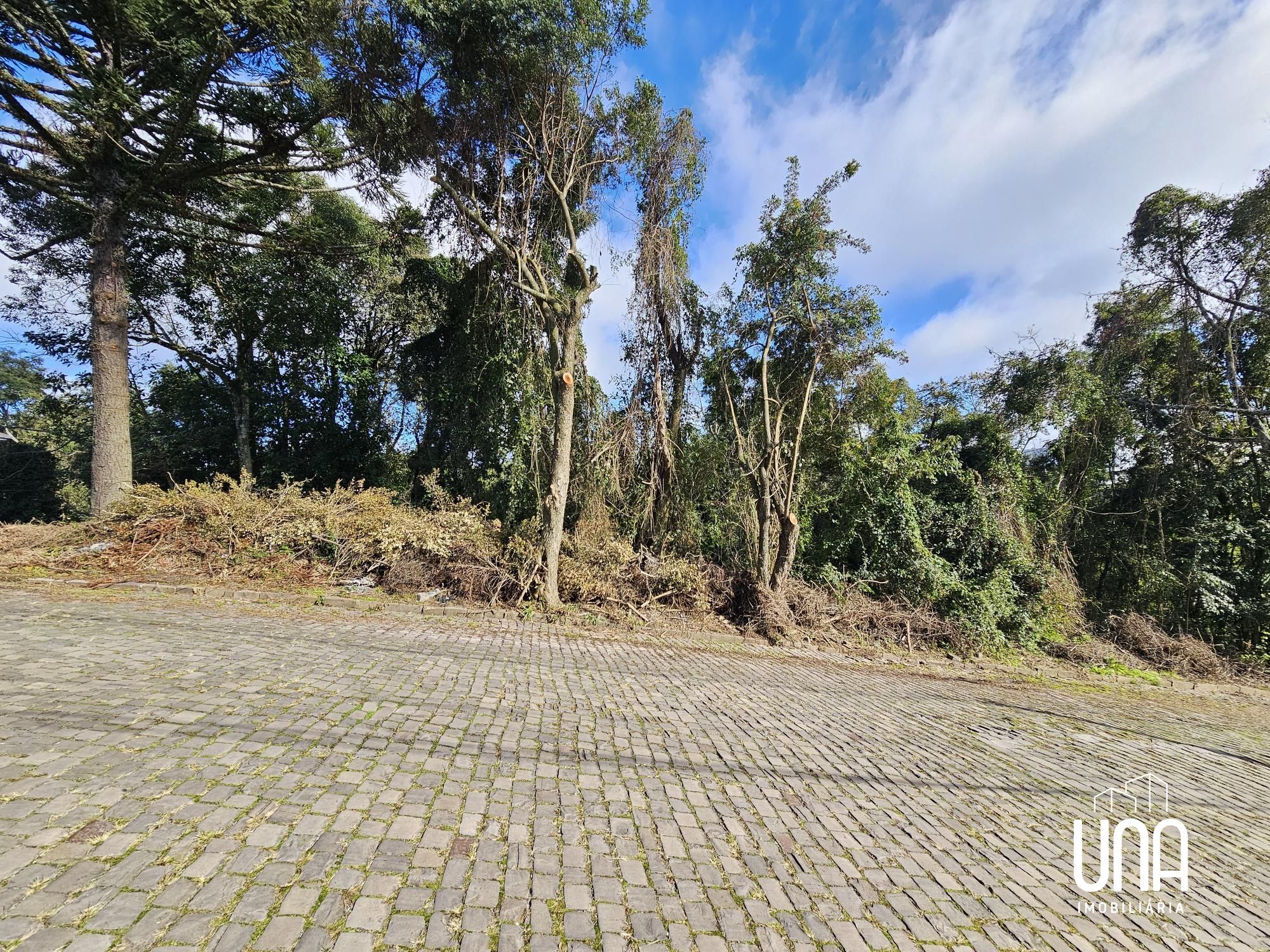 Terreno, 494 m² - Foto 6