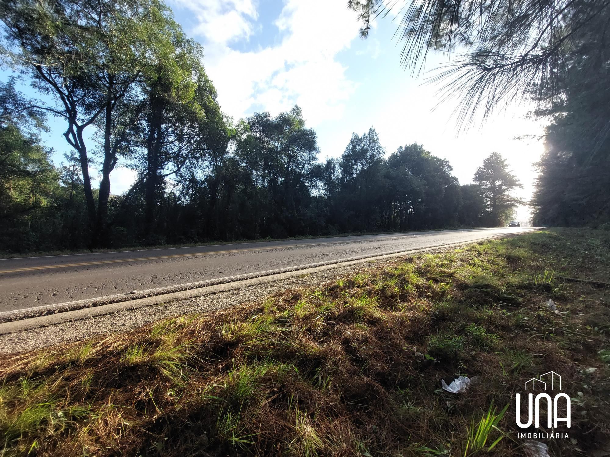 Terreno, 5 hectares - Foto 4