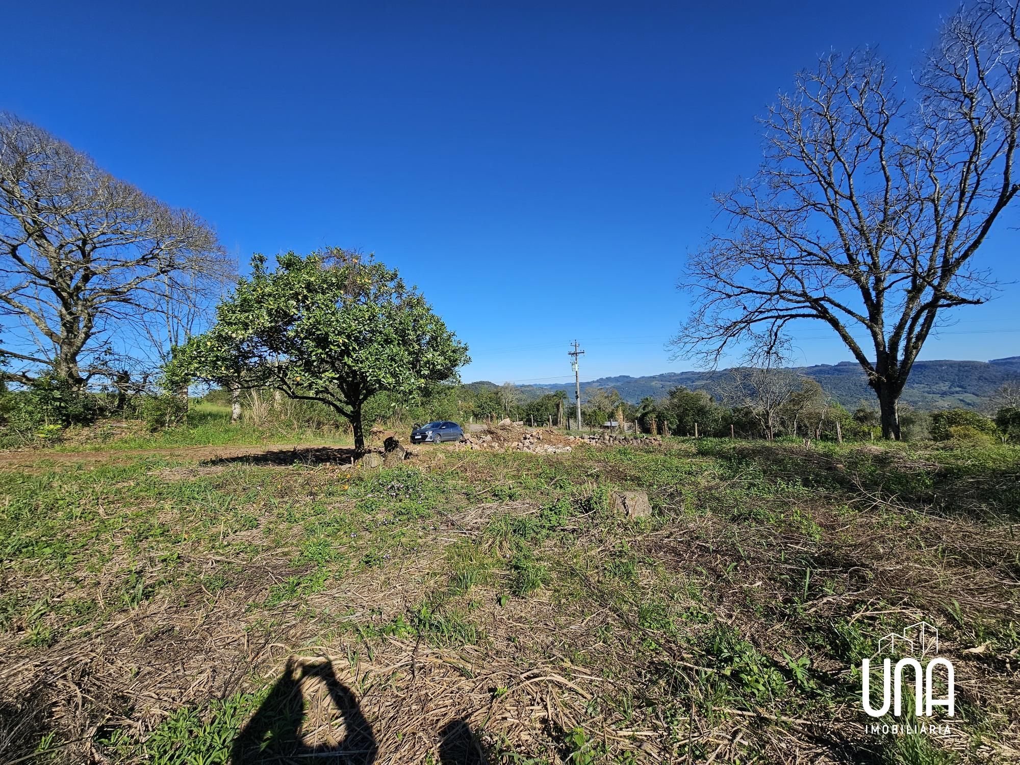 Sítio, 5 hectares - Foto 3