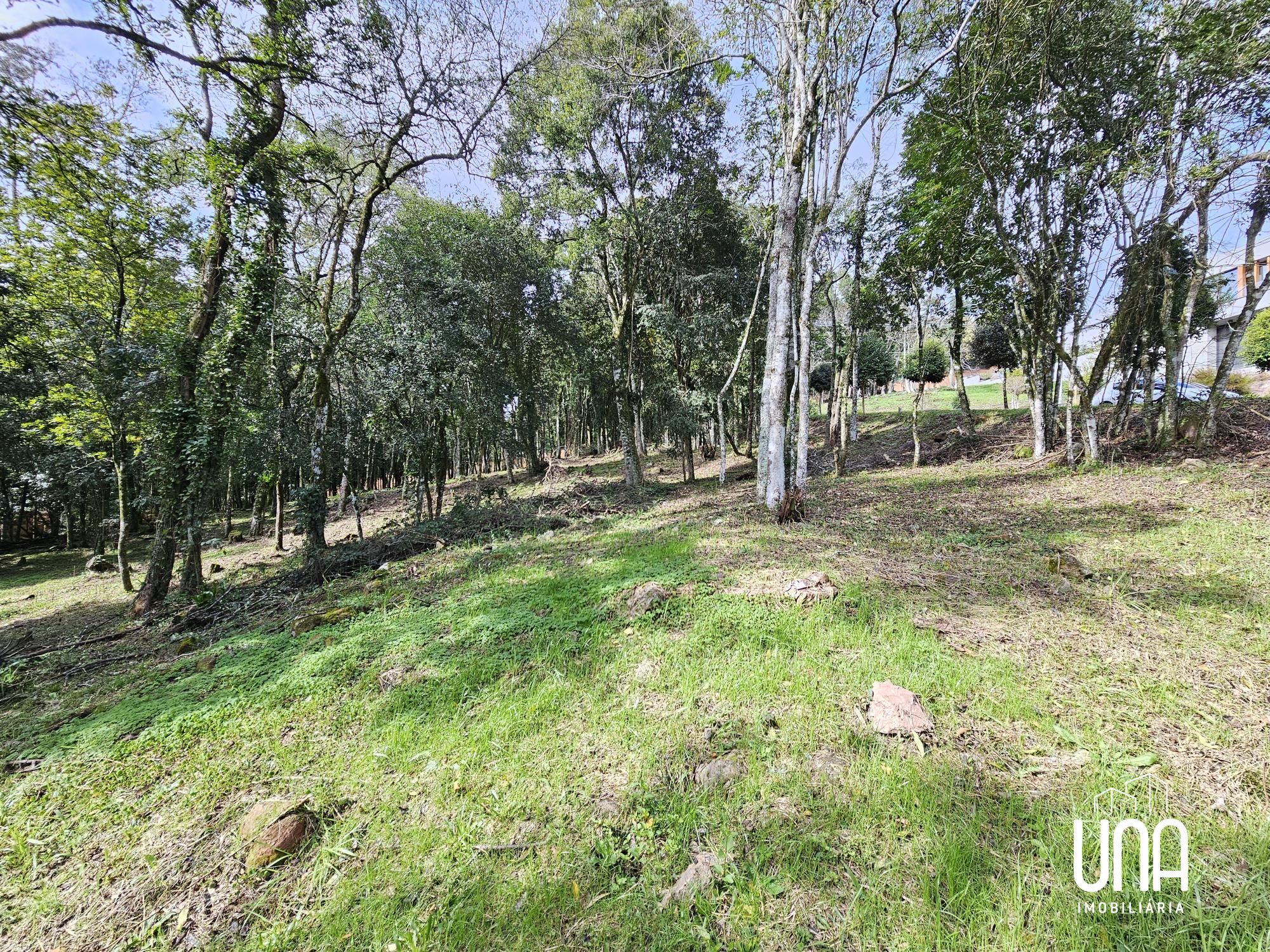 Terreno, 2283 m² - Foto 5