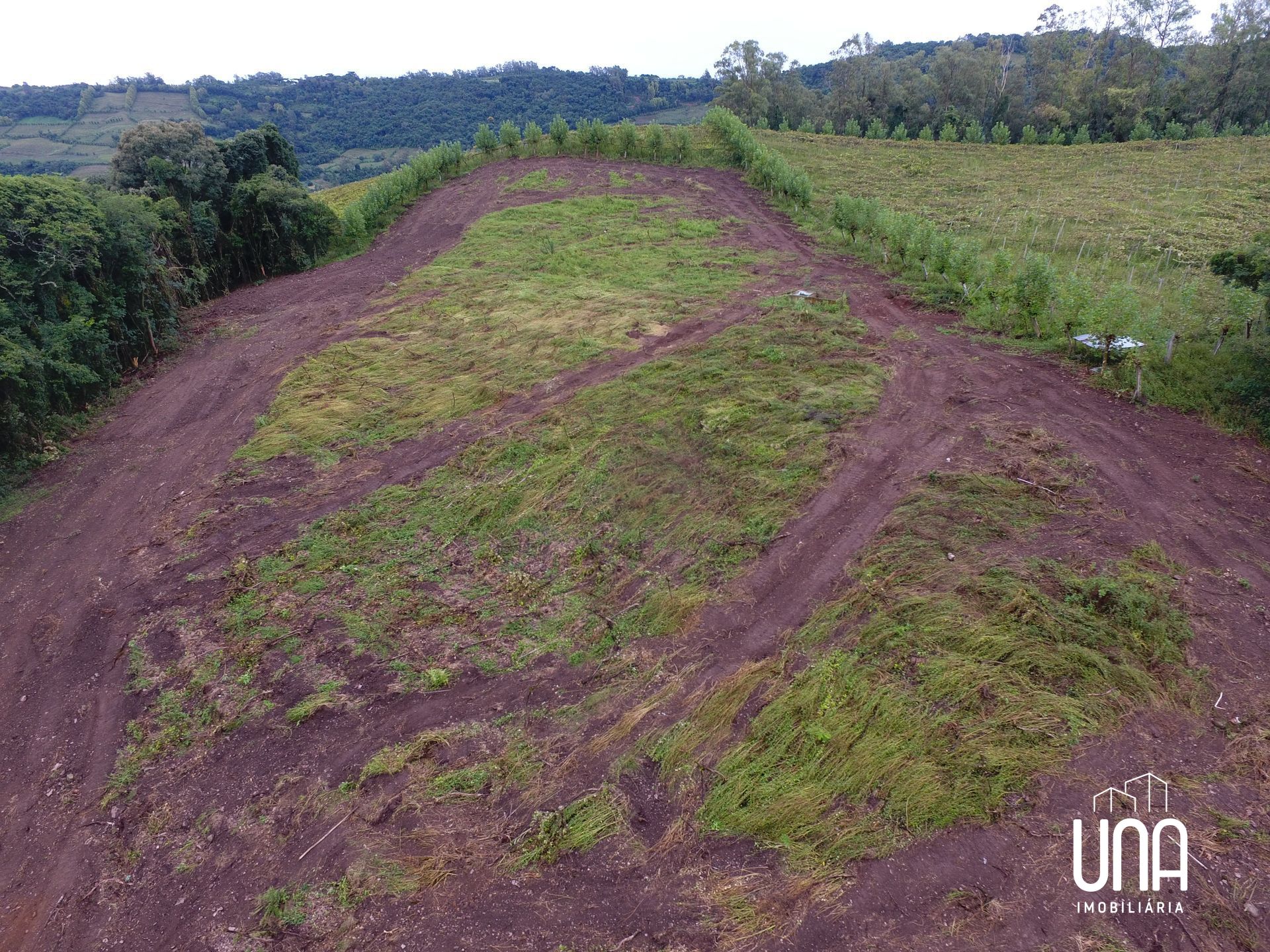 Chácara, 12 hectares - Foto 2