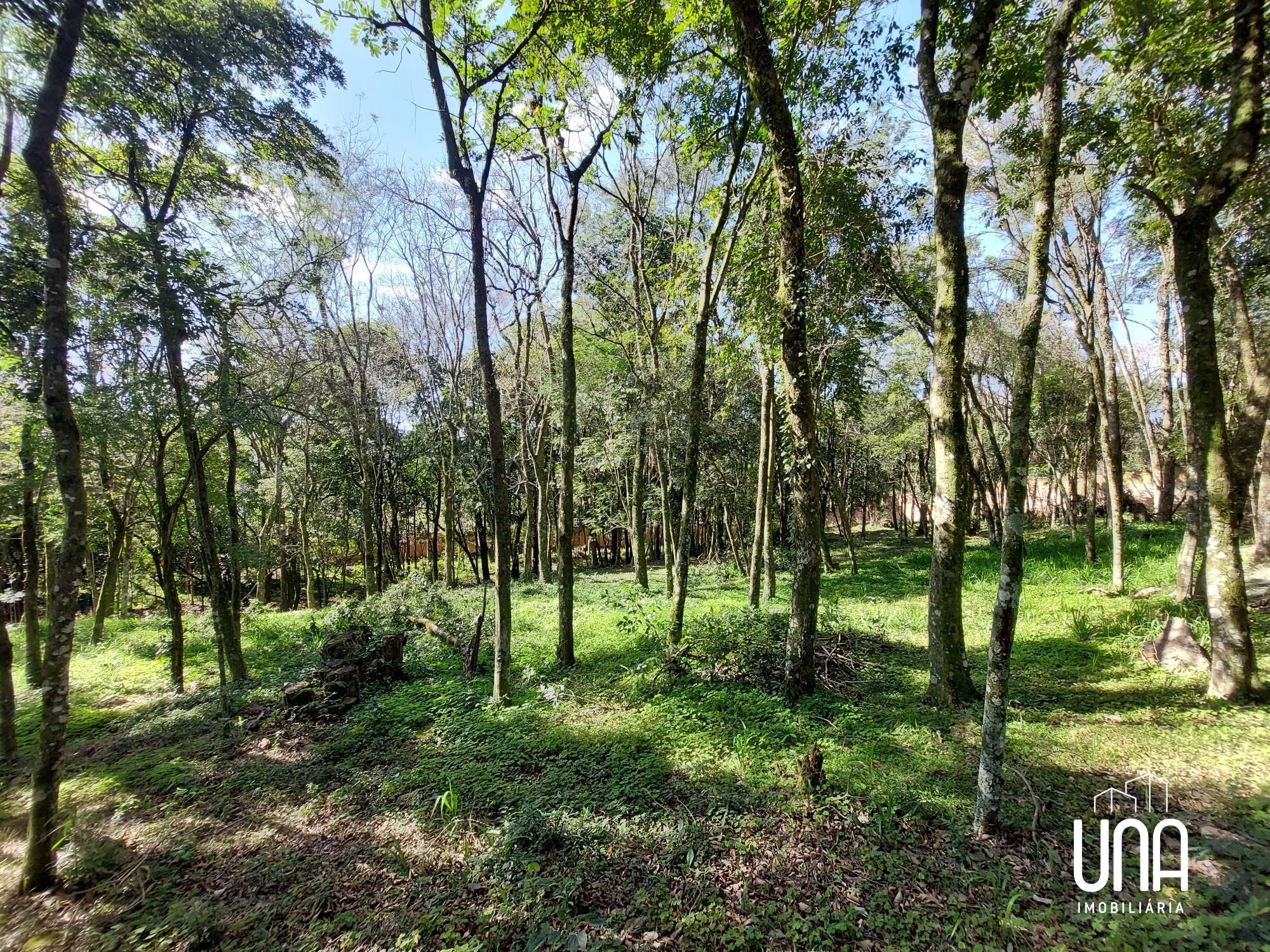 Terreno, 2071 m² - Foto 5