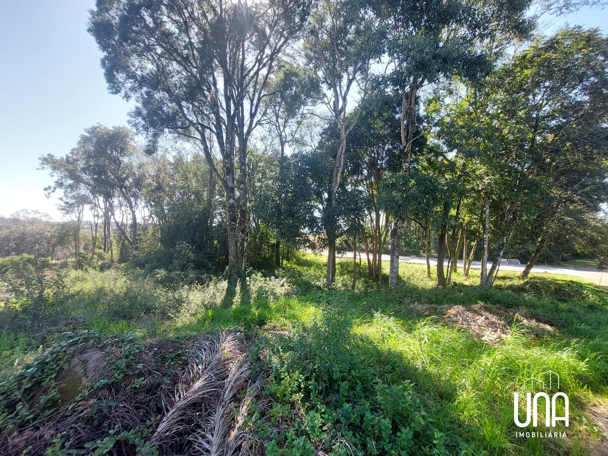 Terreno, 468 m² - Foto 4