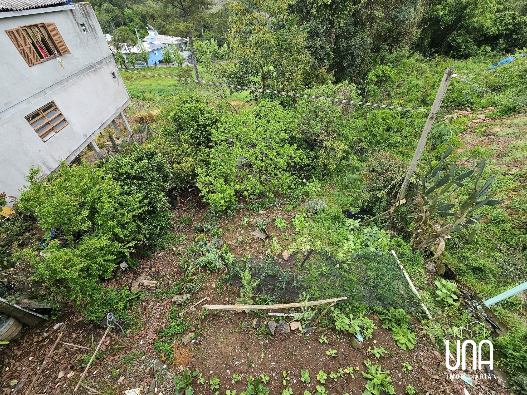 Casa, 6 quartos, 120 m² - Foto 6